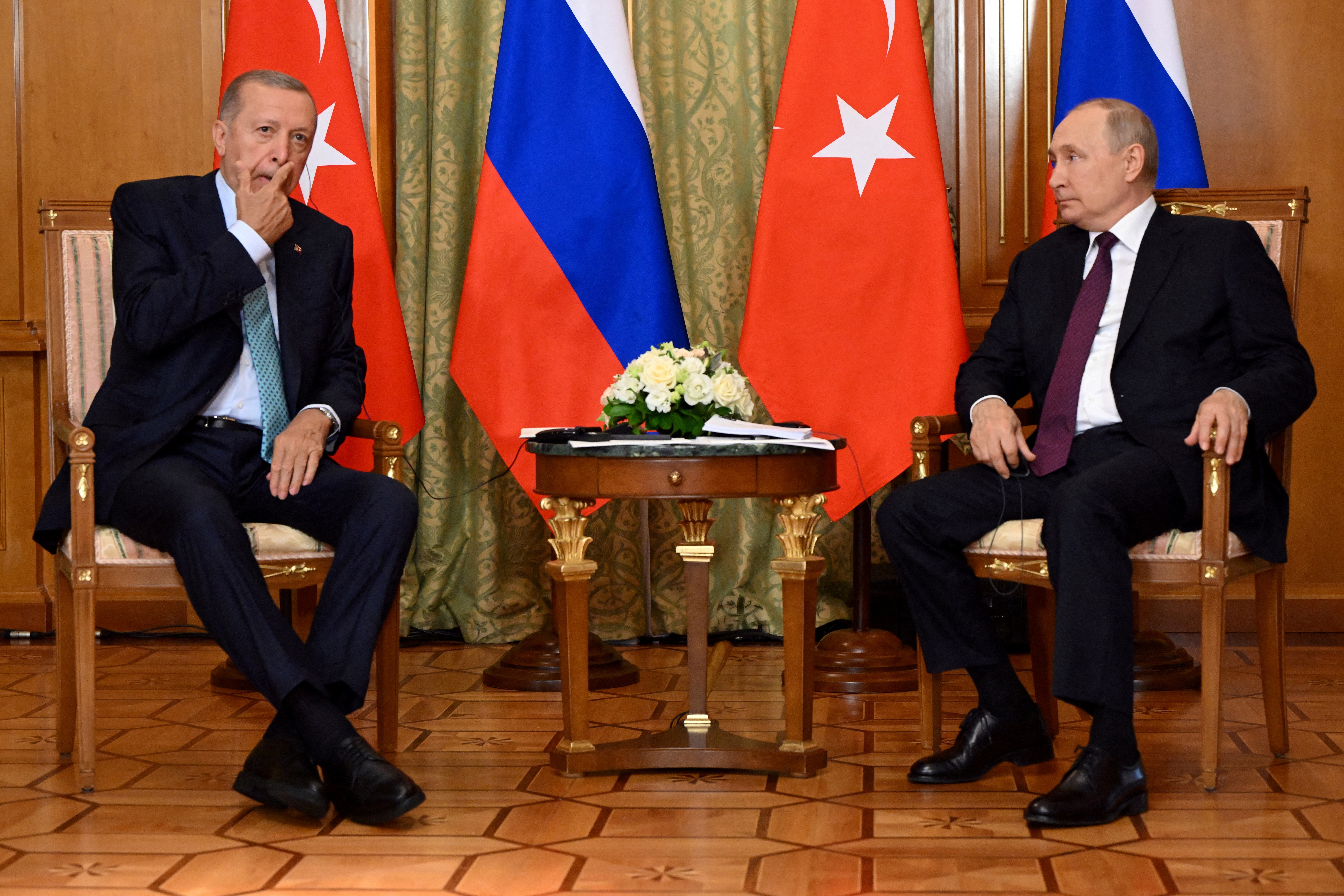 Russian President Putin and Turkish President Erdogan meet in Sochi