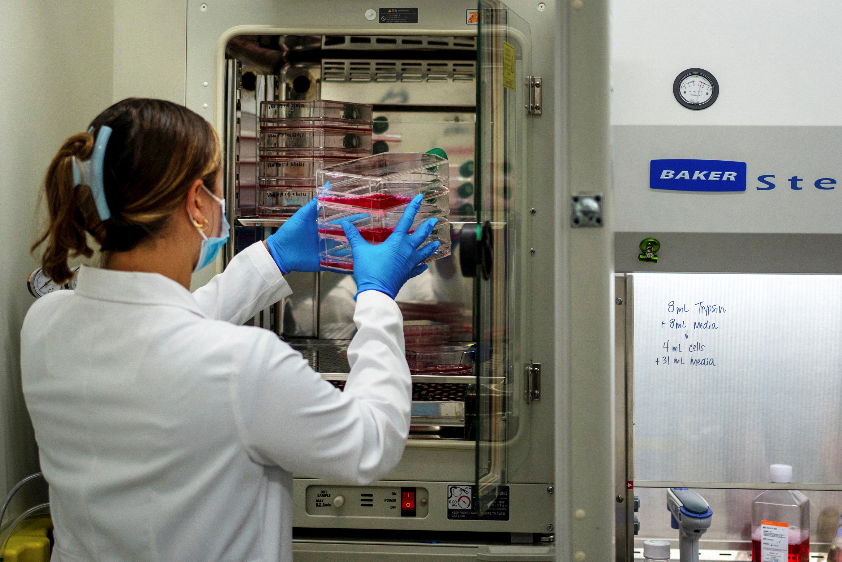 How primates are aiding the fight against COVID19 in Louisiana Reuters