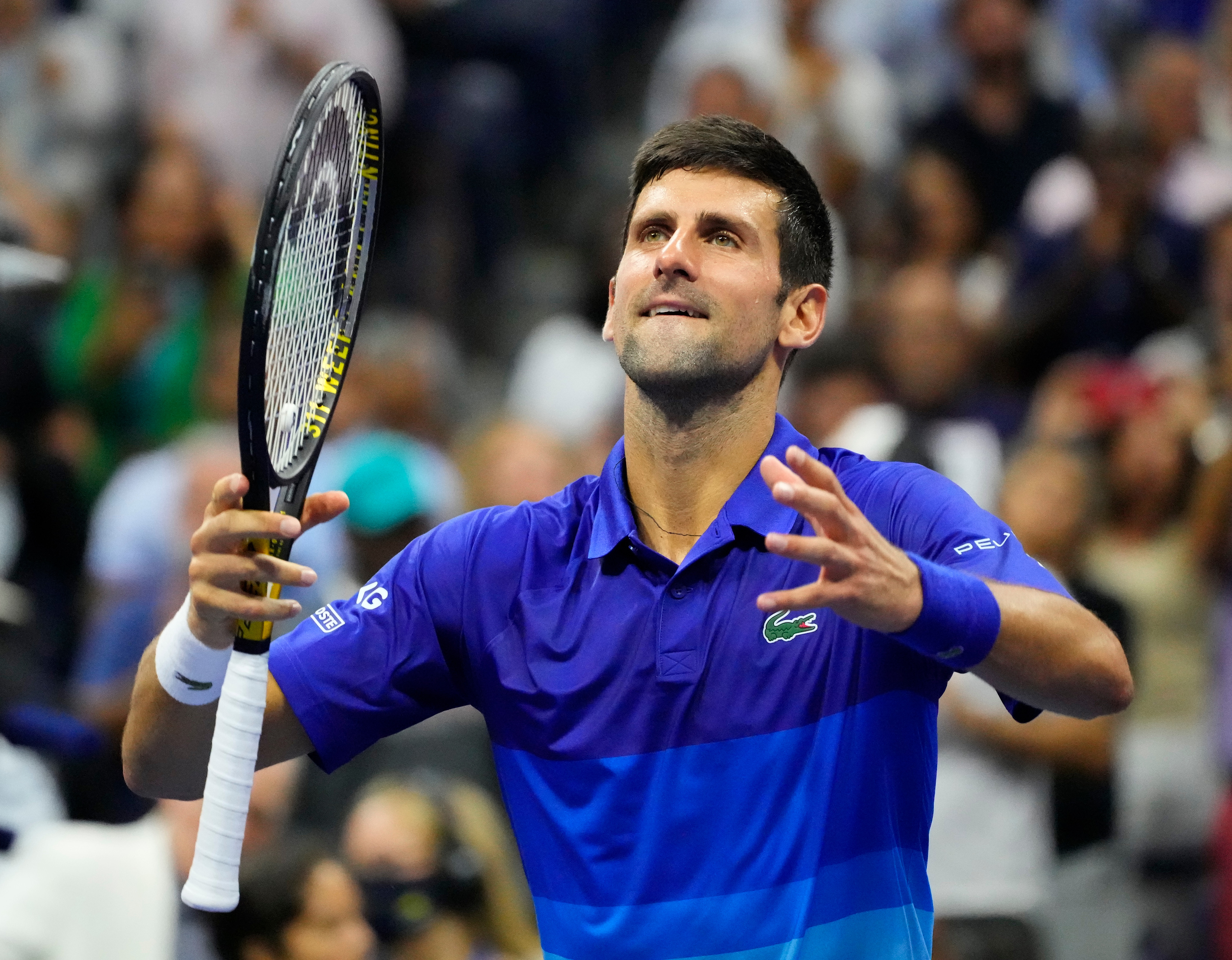 Berrettini plotting path to ending Djokovic . Open dream, says coach |  Reuters