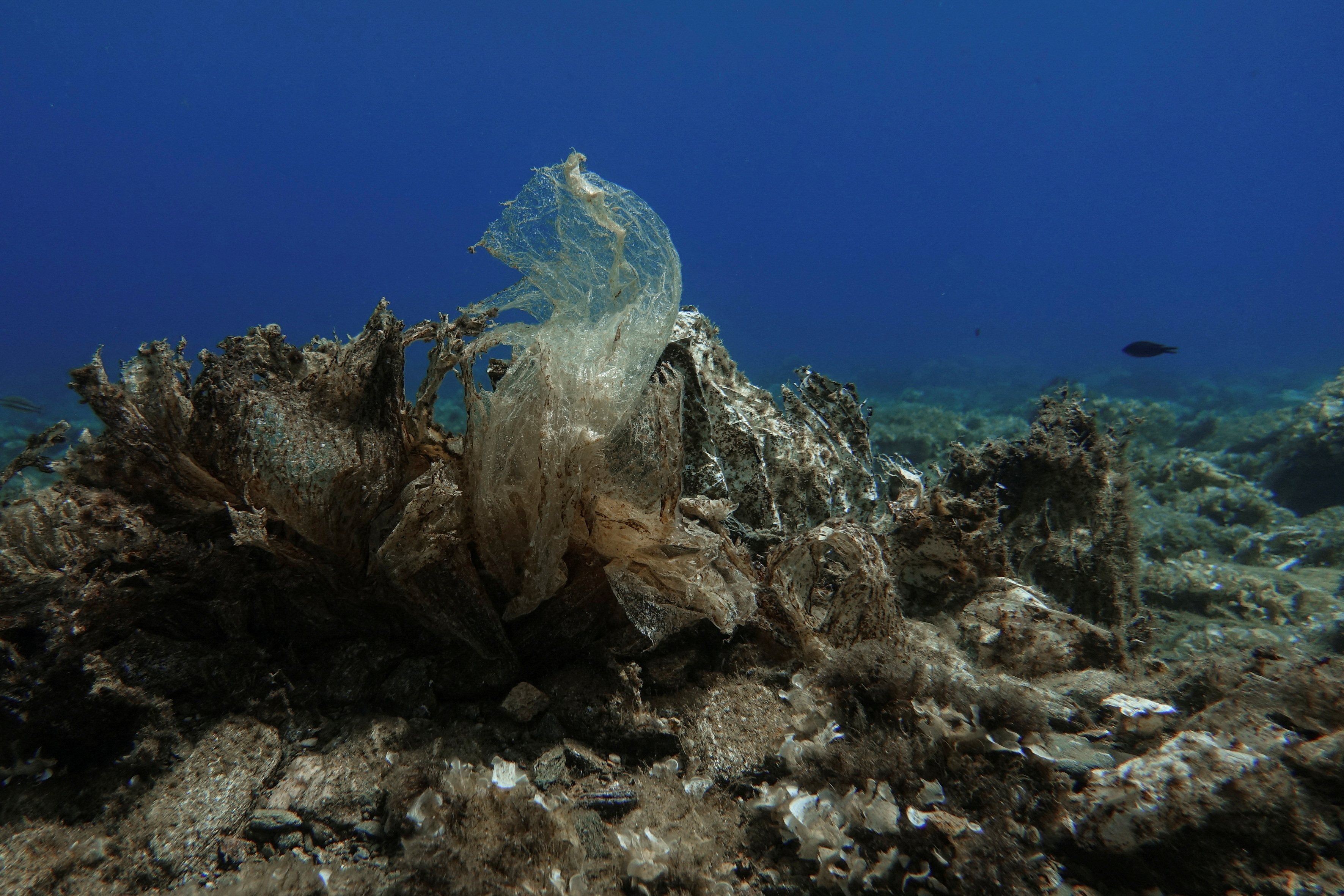 Plastic waste is pictured at the bottom of the sea, off the island of Andros