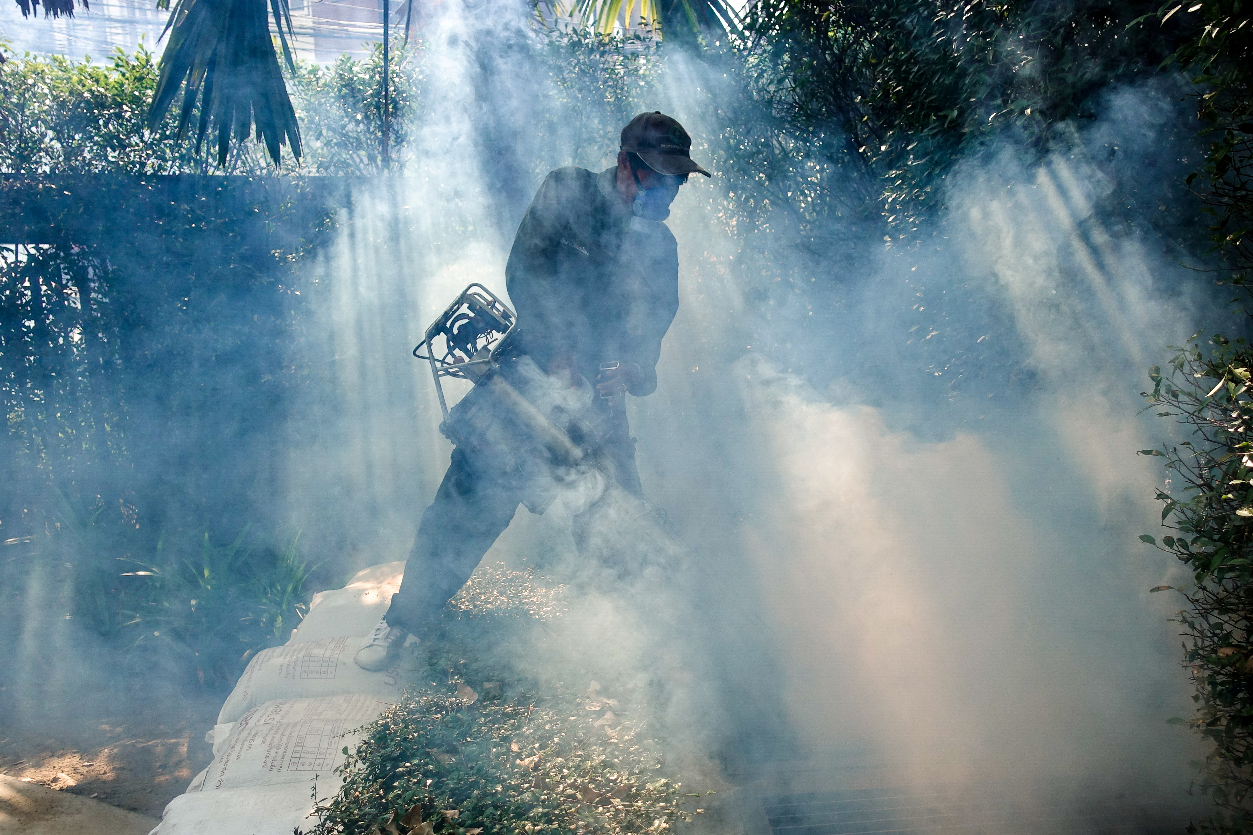 A worker sprays insecticide for mosquitos at a village in Bangkok
