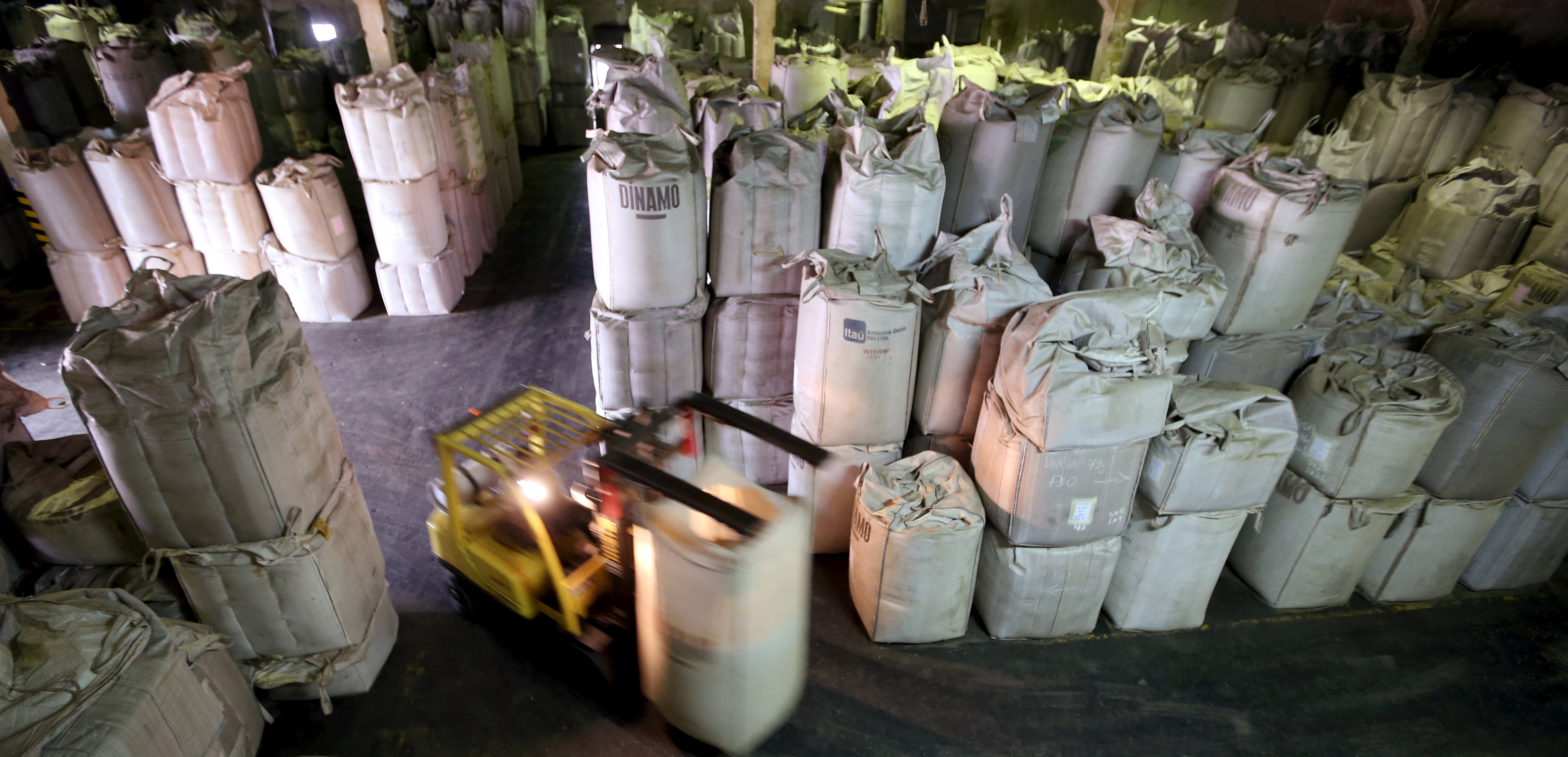 Conillon highs worry Brazilian coffee industry - SAFRAS & Mercado