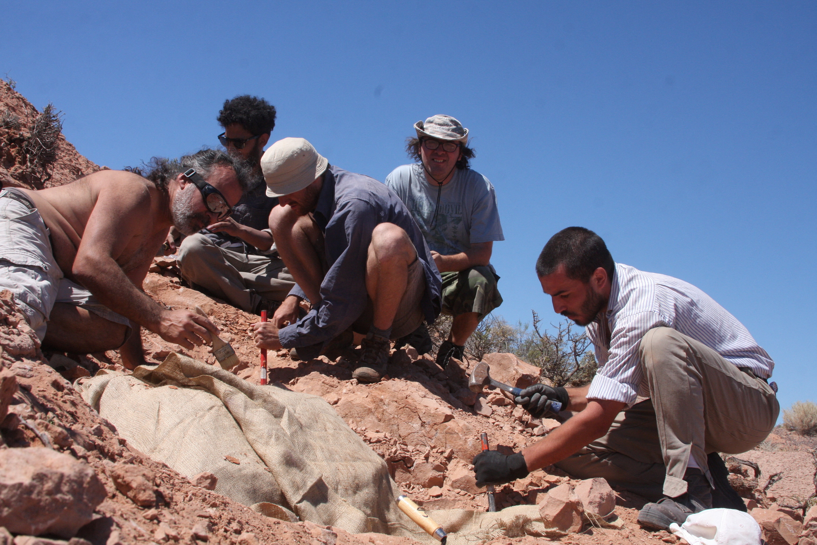 Argentine scientist introduces the first bipedal armoured dinosaur found in South America