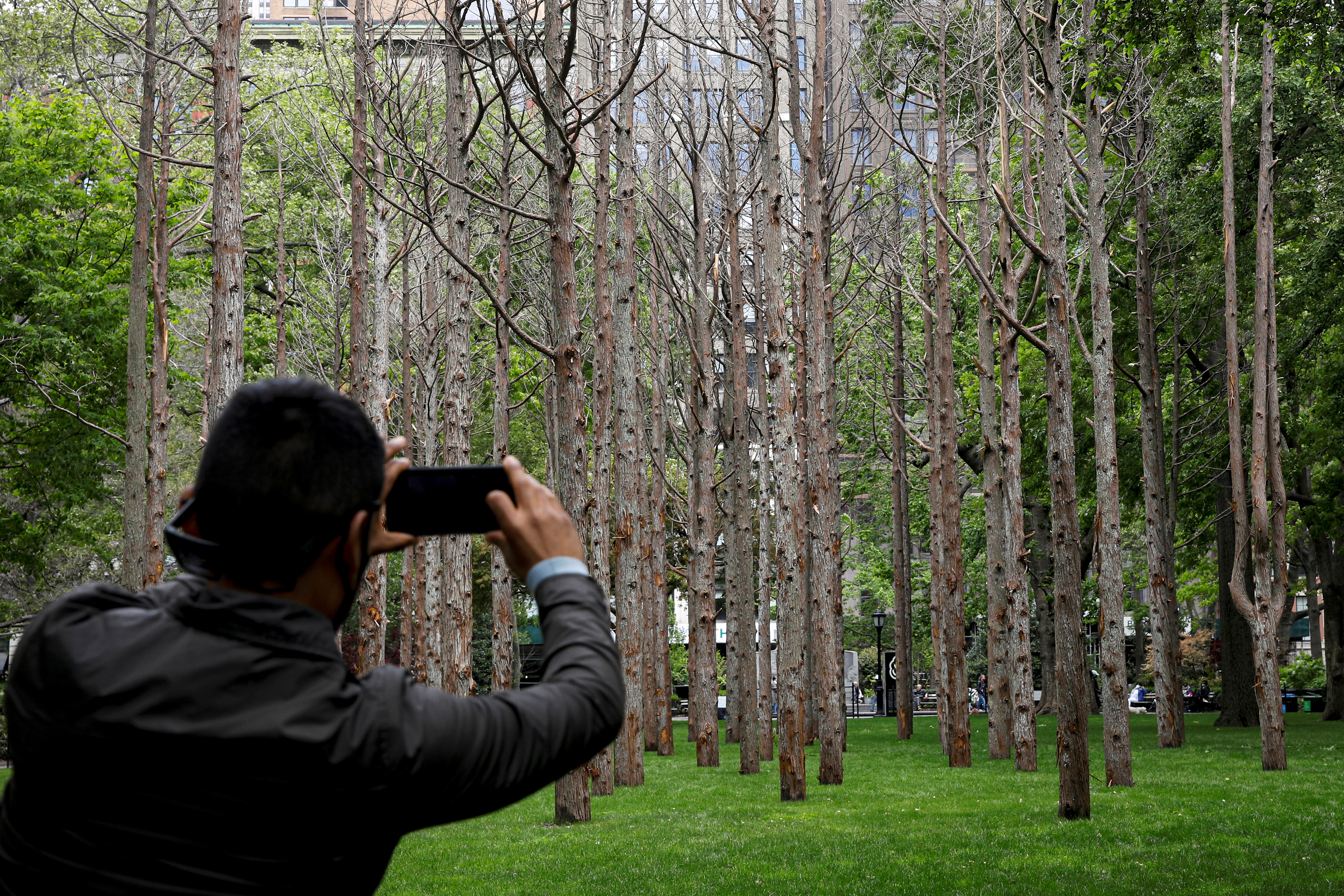 Maya Lin: Ghost Forest Seedlings