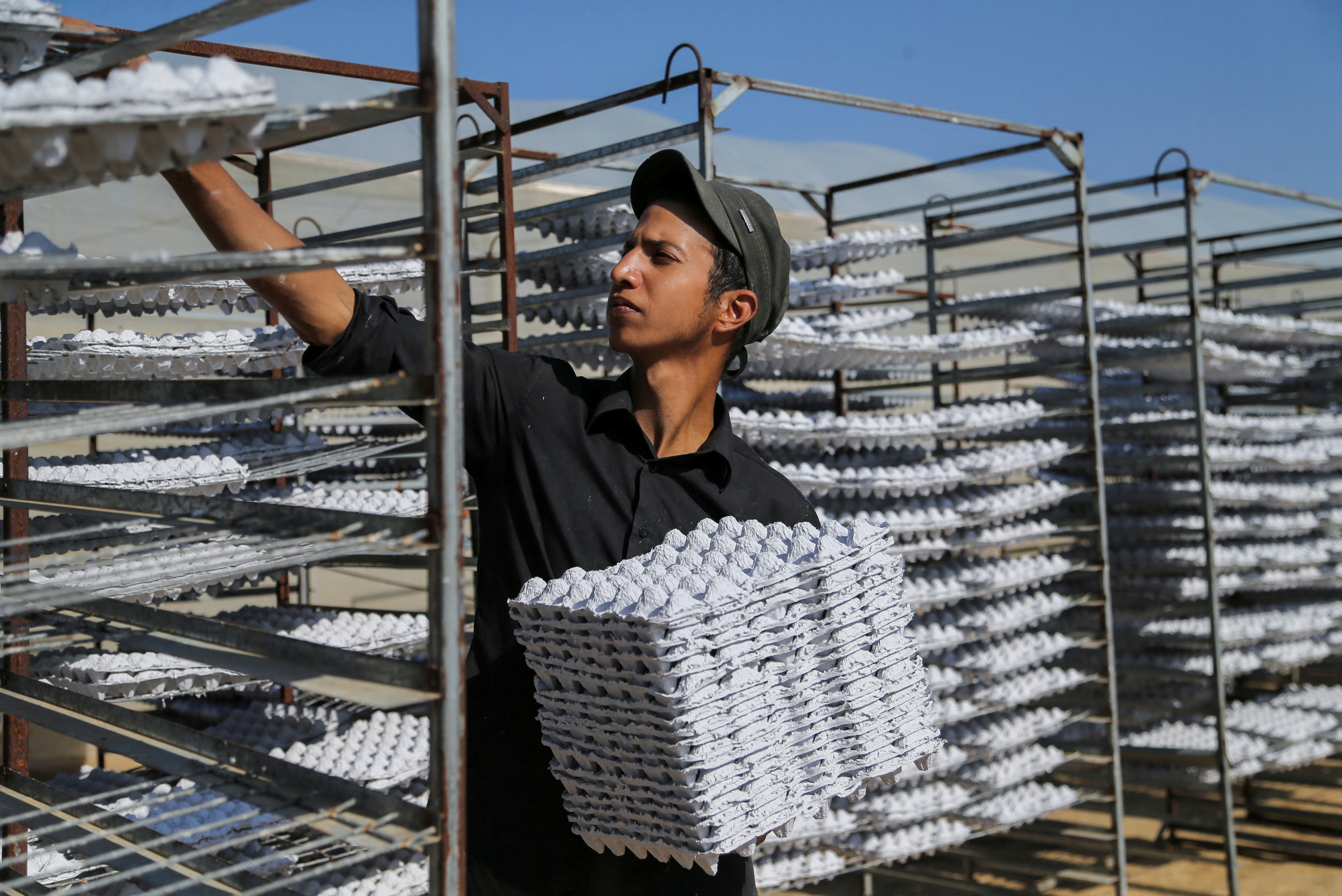 Gaza farmer recycles paper waste into egg trays