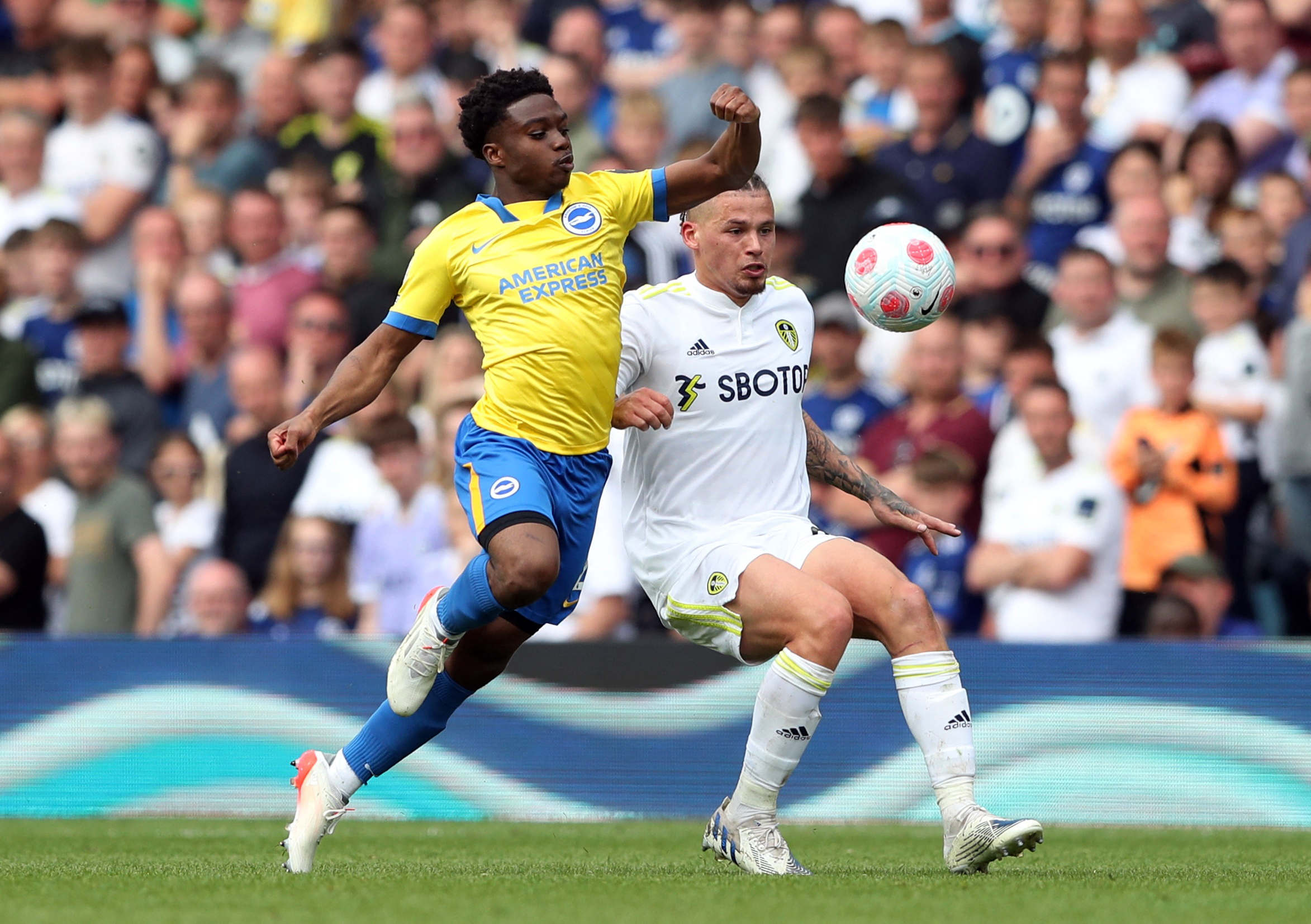 Struijk snatches last-gasp draw for Leeds | Reuters