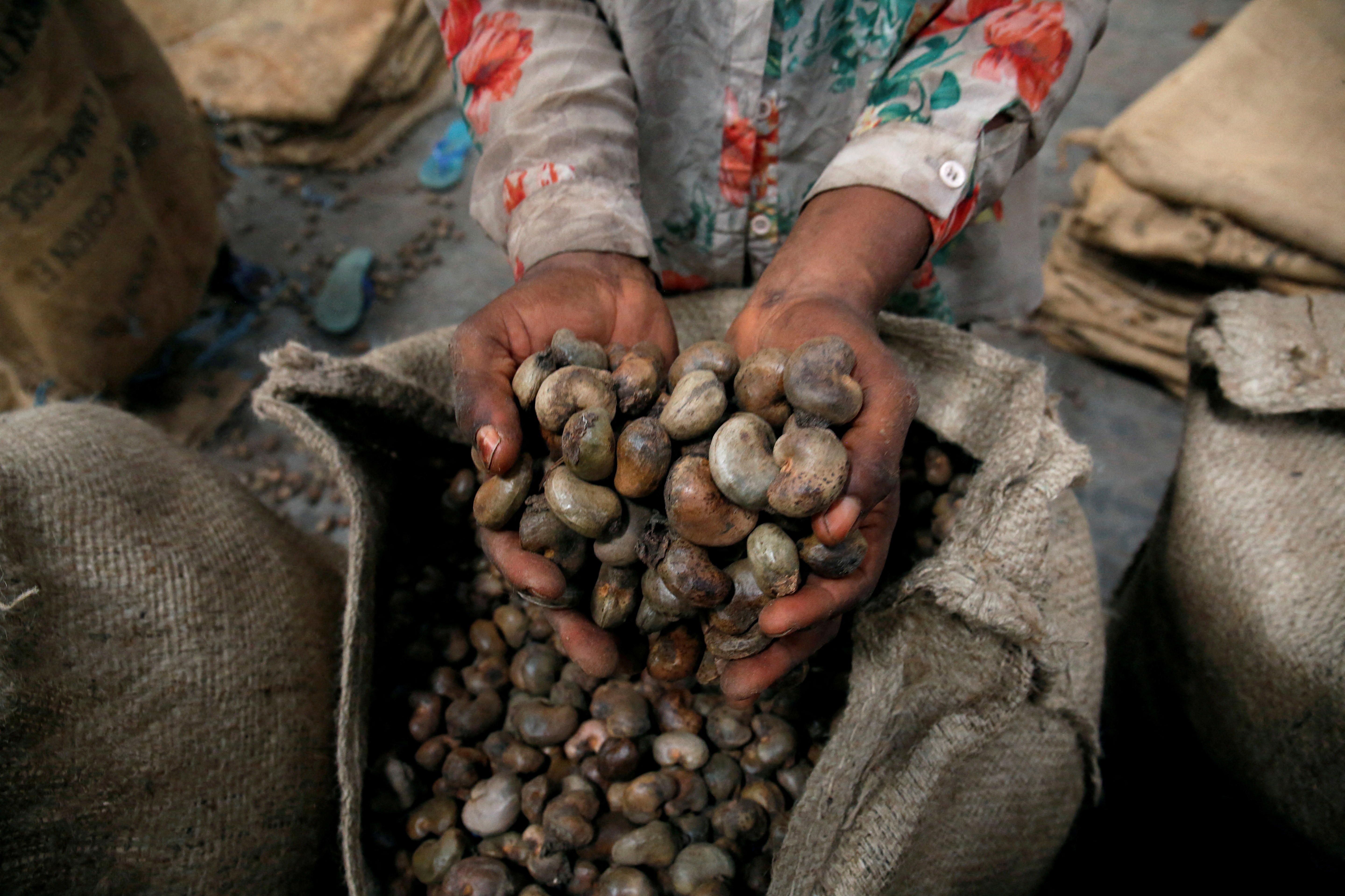 A woman holds cashew nuts at a warehouse in Abidjan