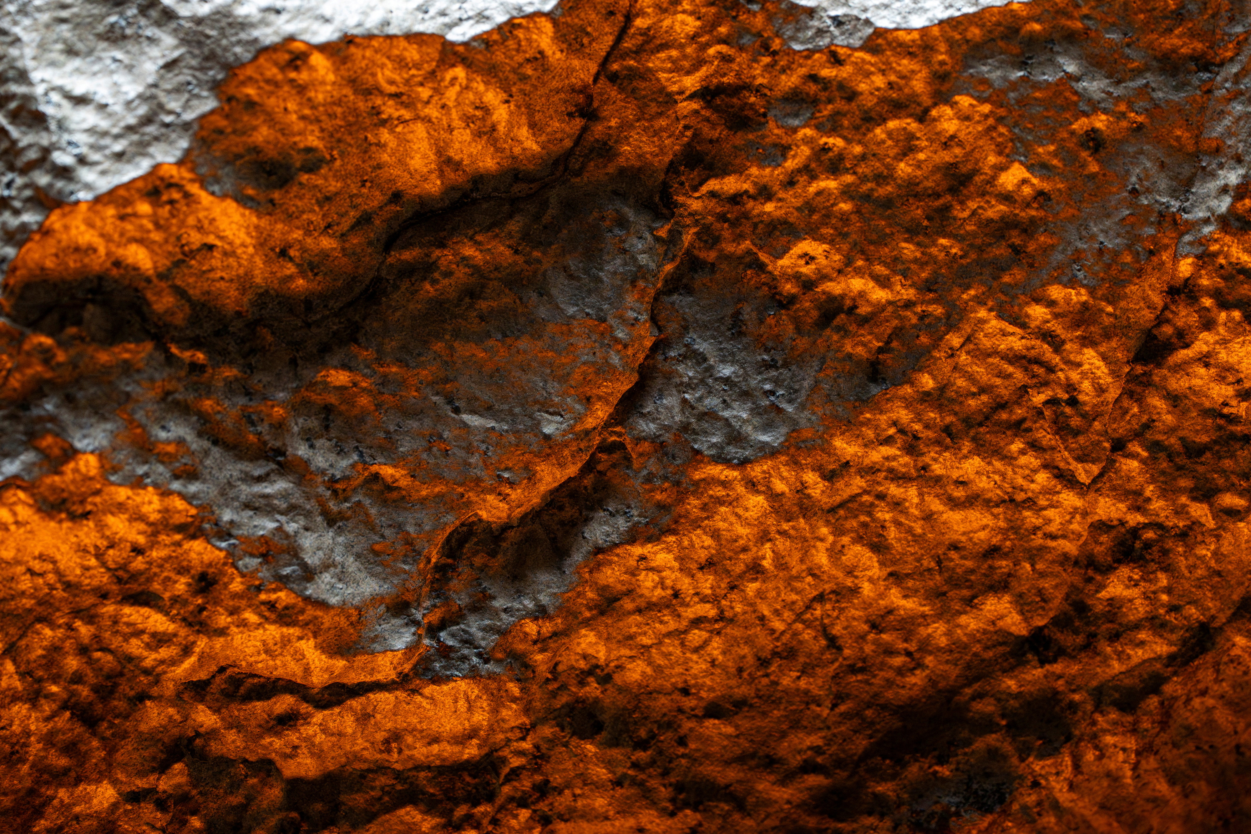 やっぱりモーツァルト SOTHEBY'S リトルマーメイド Martian meteorite sells for record $5.3 million at Sotheby's | Reuters