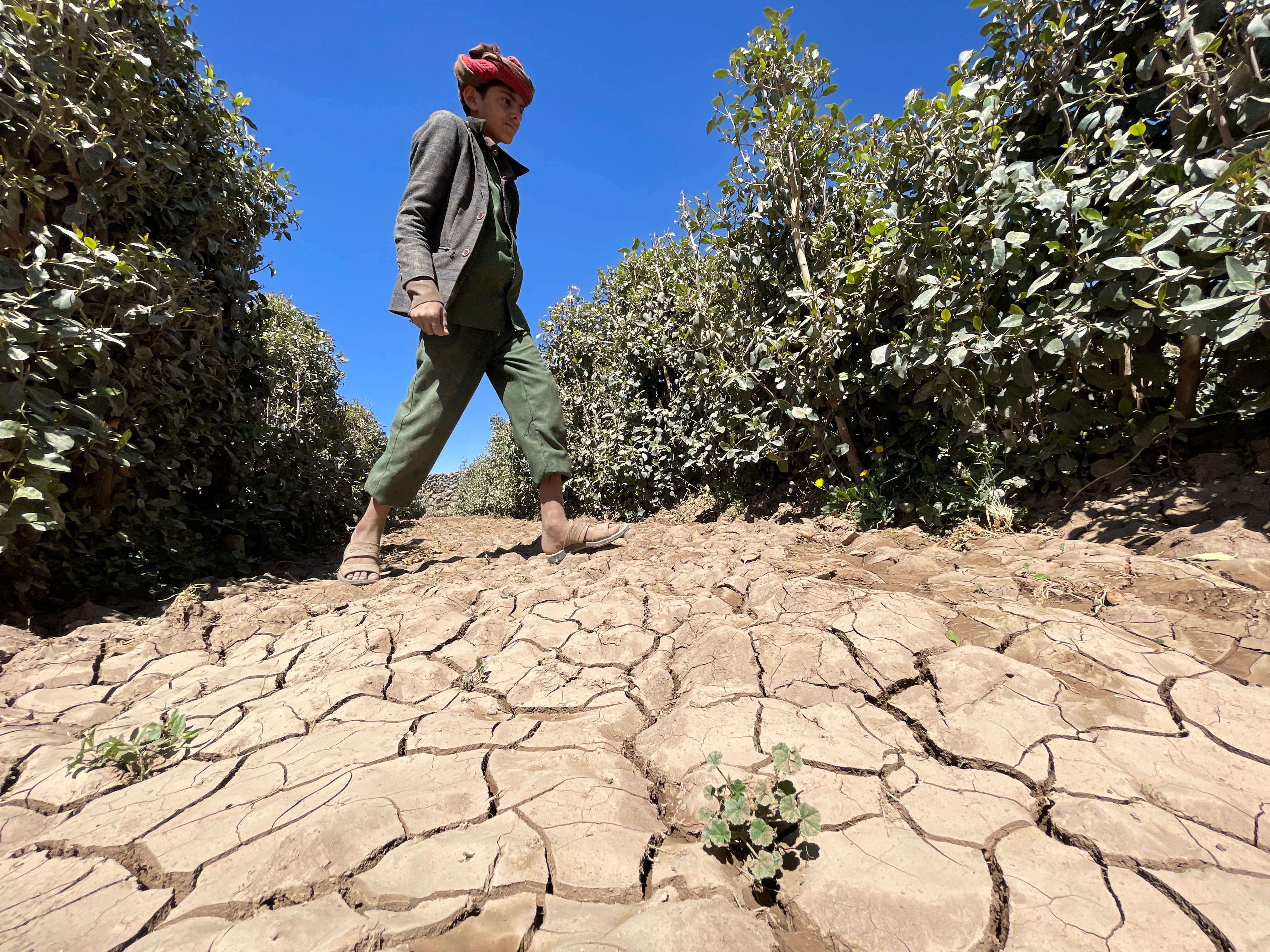 Farmers drain groundwater and remove soil to cultivate qat on the outskirts of Sanaa