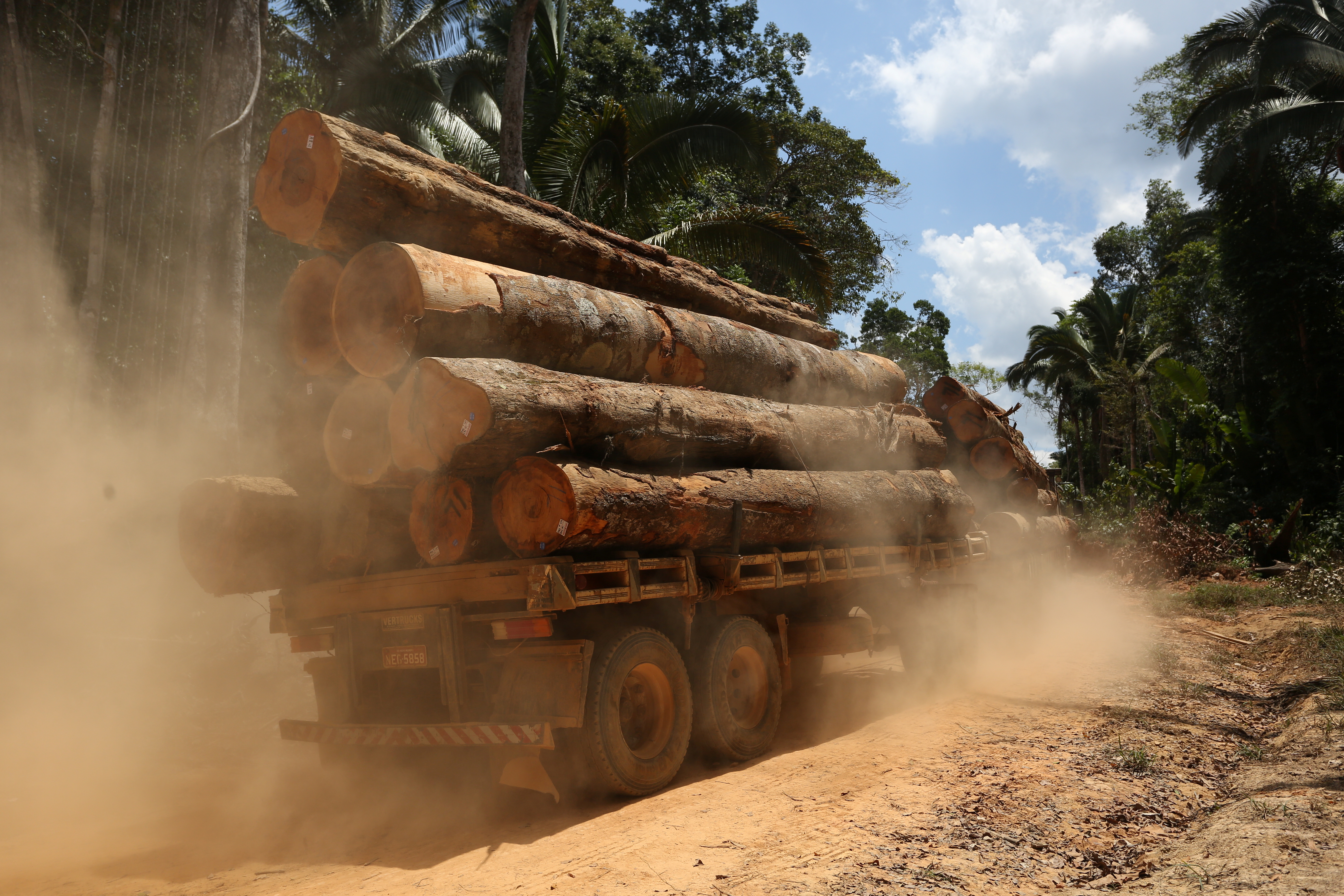 A truck is seen loaded with logs cut from the Bom Retiro deforestation area