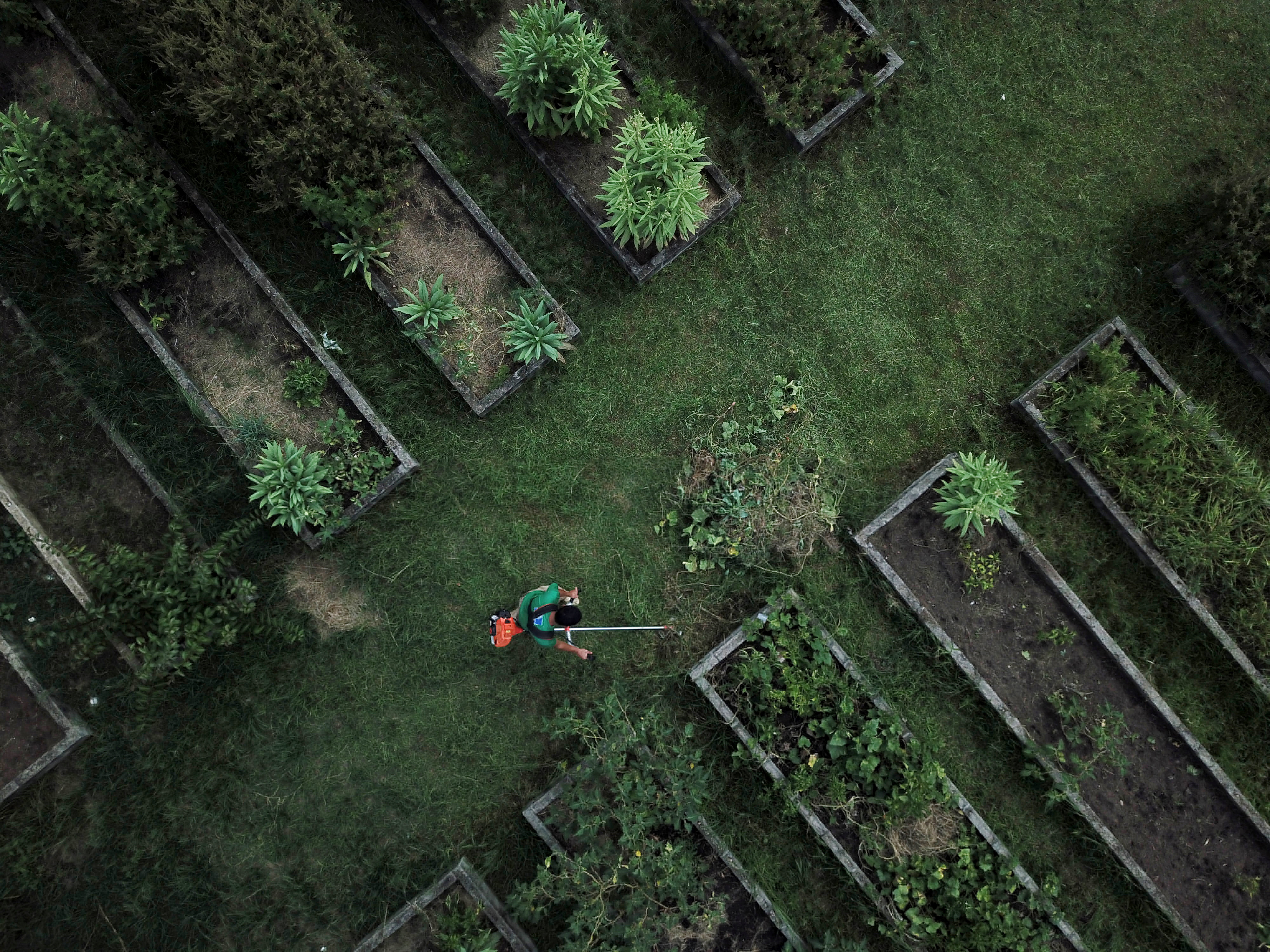A drone picture of a person working at the Horta de Manguinhos (Manguinhos vegetable garden), the biggest urban garden in Latin America, part of the project 