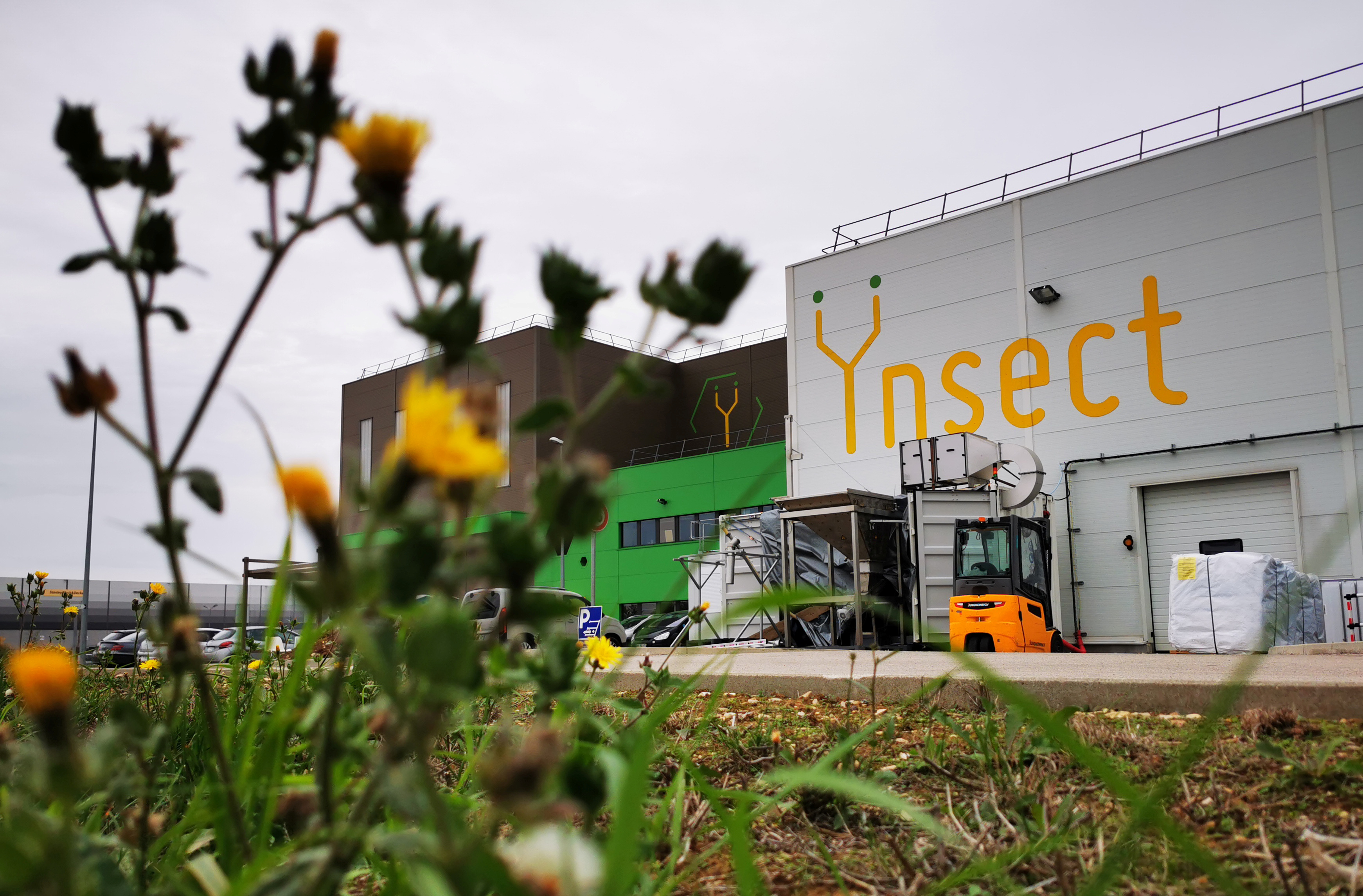 French start-up Ynsect plans to build world's biggest bug farm