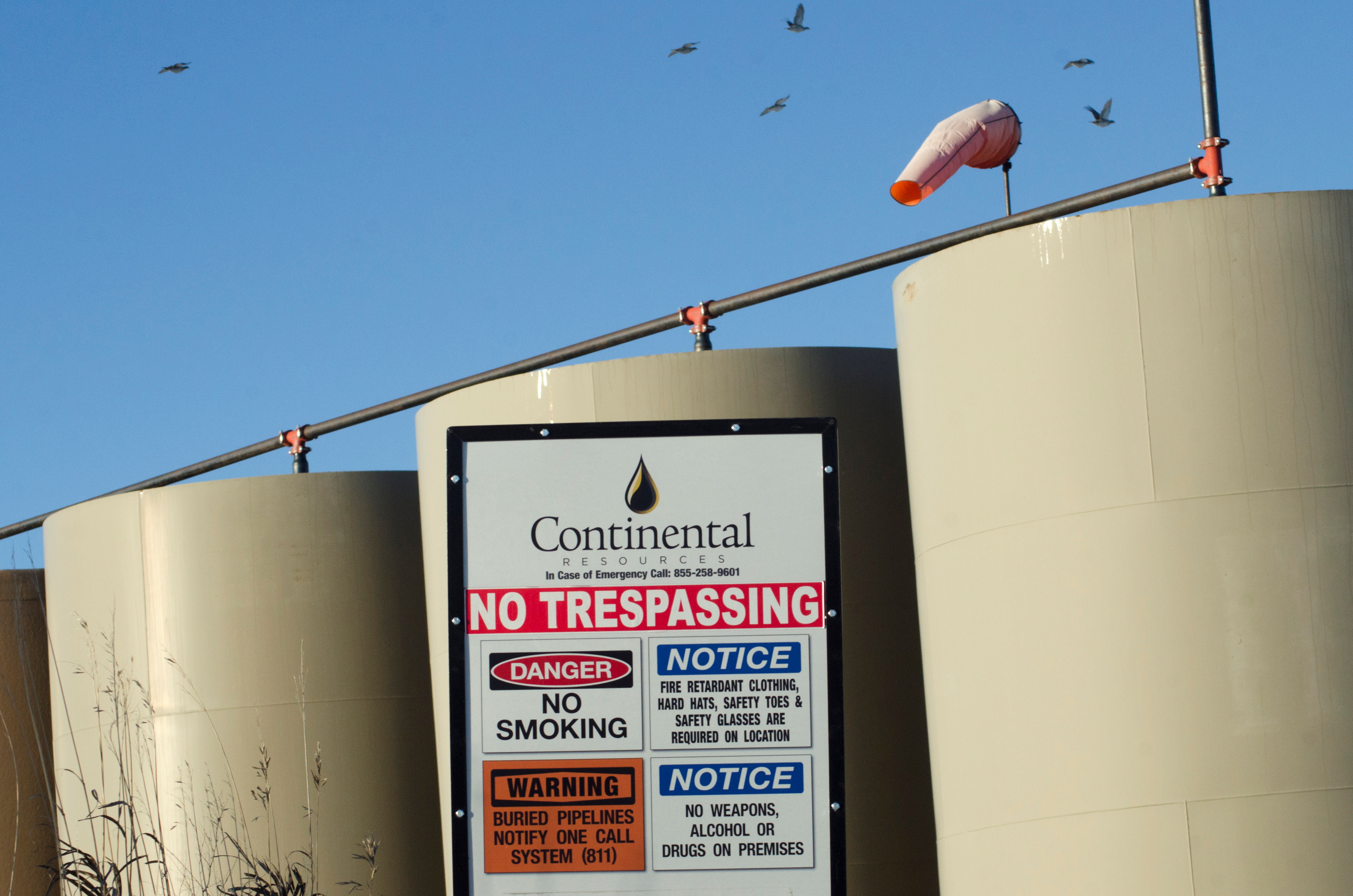 Birds fly over storage tanks on a Continental Resources oil production site near Williston