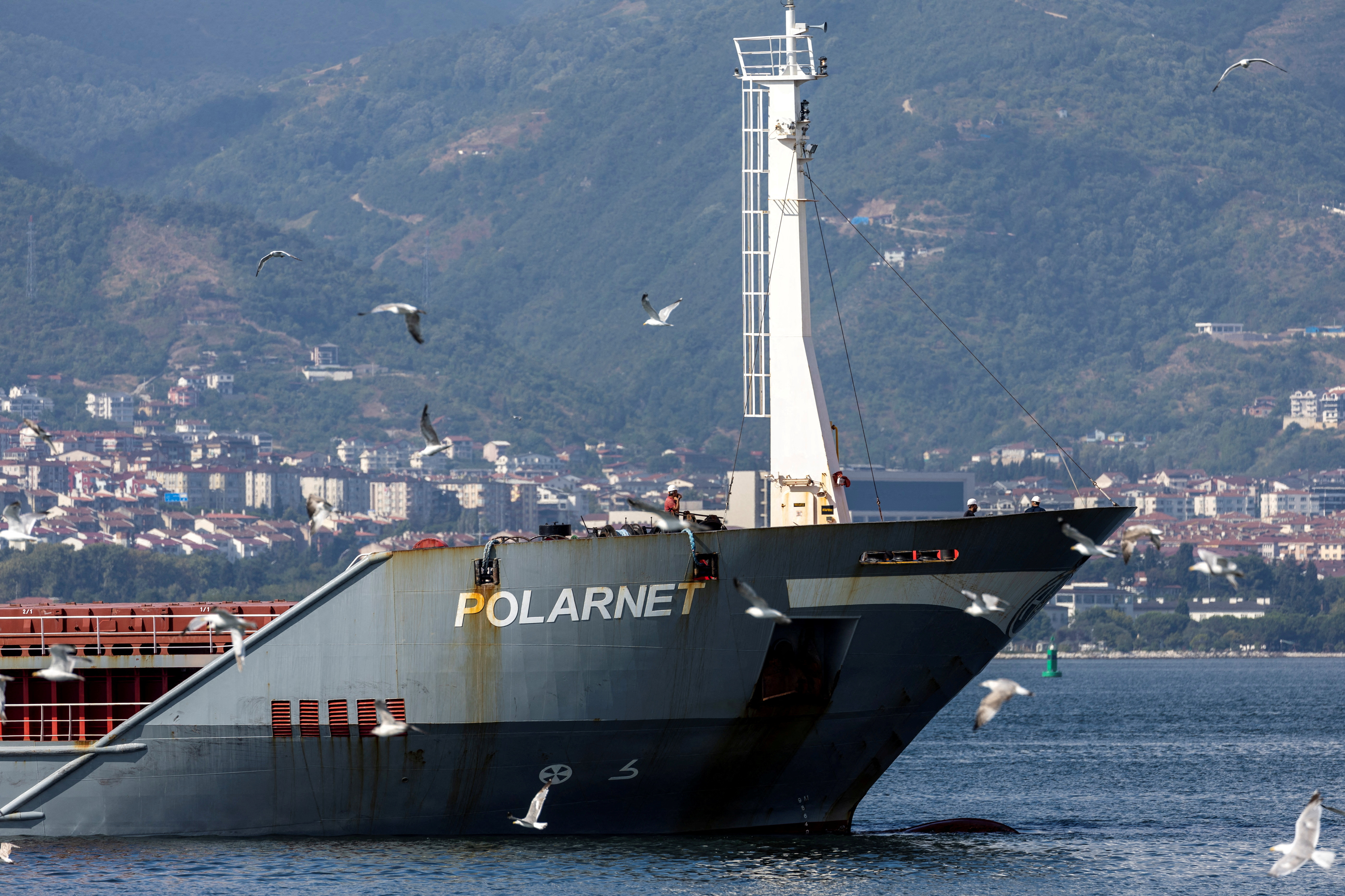 Turkish-flagged cargo ship Polarnet, carrying Ukrainian grain, approaches its final  destination in Kocaeli province