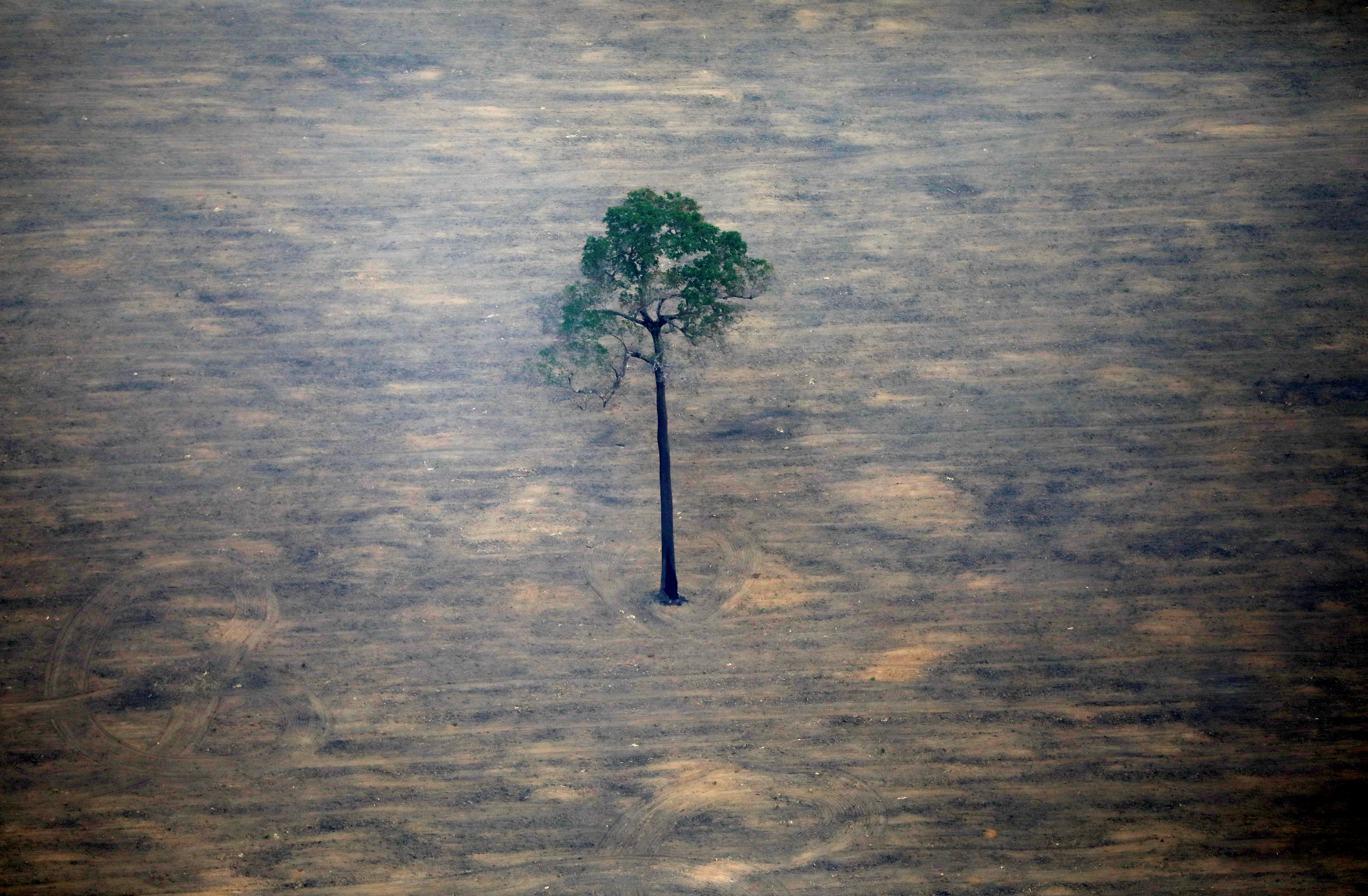 An aerial view shows a deforested plot of the Amazon near Porto Velho, Rondonia State, Brazil, September 17, 2019. REUTERS/Bruno Kelly