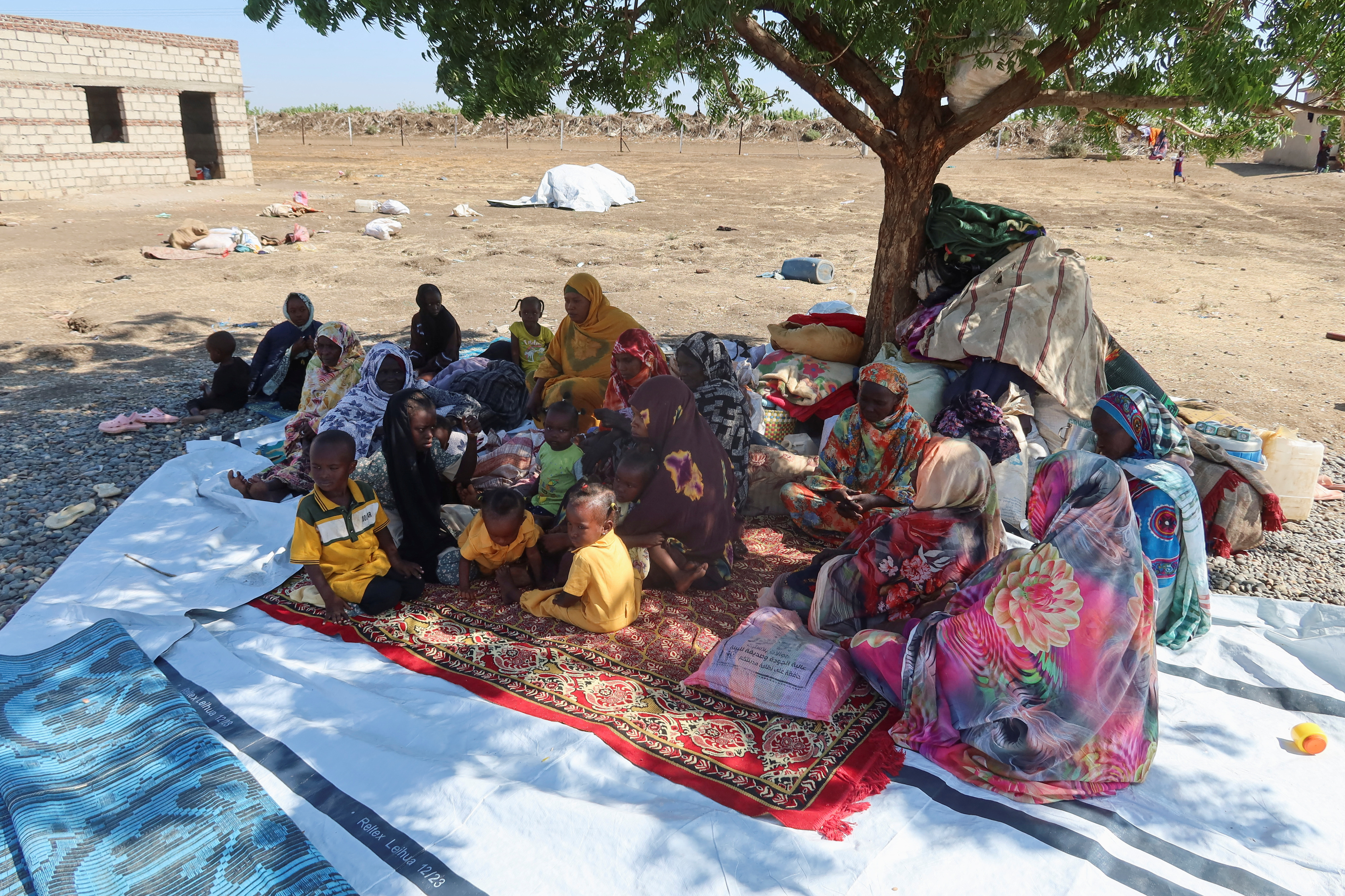 Sudanese people, displaced from Gezira state due to RSF violence, sit under a tree in New Halfa