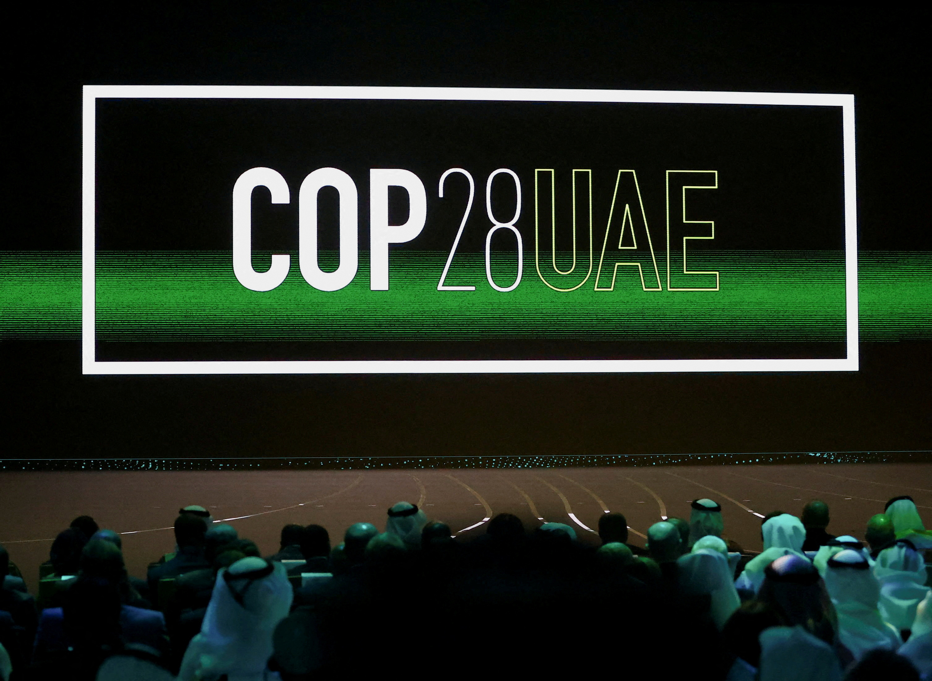 UAE says it's committed to meet CO2 emissions targets after criticism