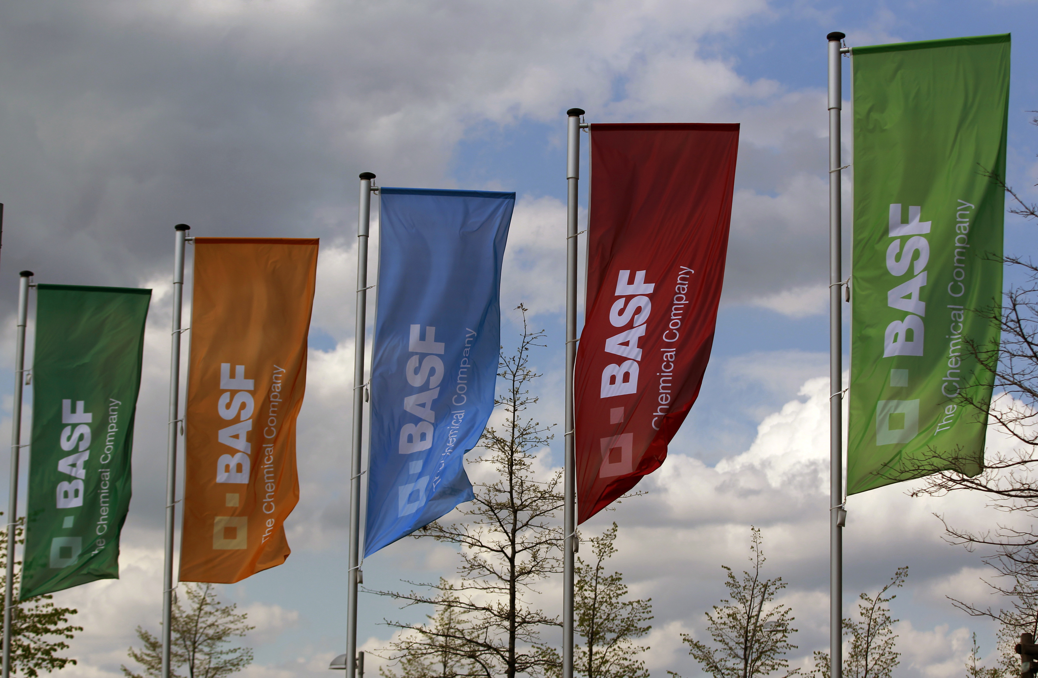 Flags of the German chemical company BASF are pictured in Monheim