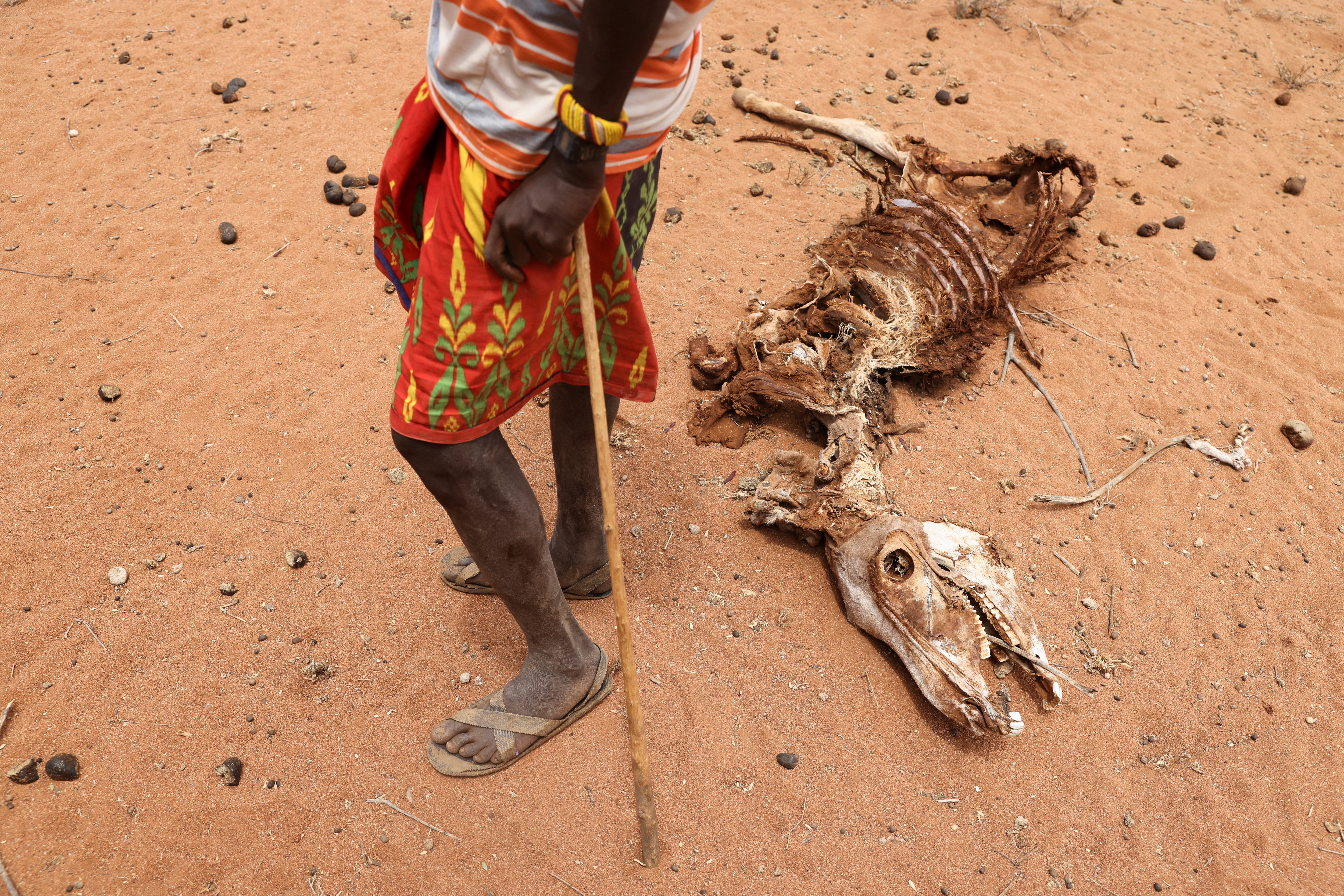 Bargeri, a herdsman from the Rendille ethnic group, stands next to the carcass of  his donkey who died due to an ongoing drought, near the town of Kargi, Marsabit county, Kenya, October 9, 2021. Picture taken October 9, 2021. REUTERS/Baz Ratner/File Photo