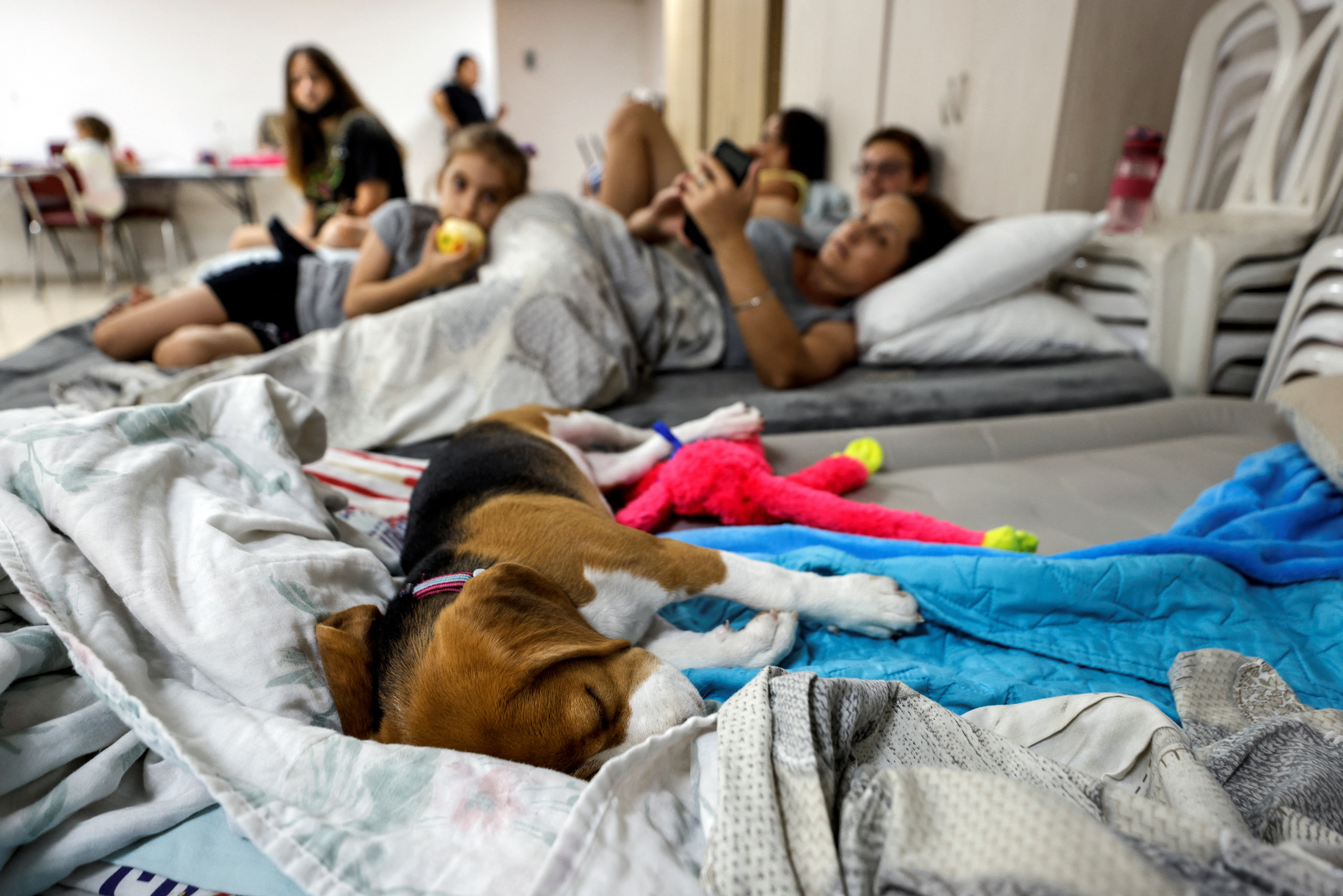 People with their dog stay in a bomb shelter following rockets fired from Gaza towards Israel, in Ashkelon