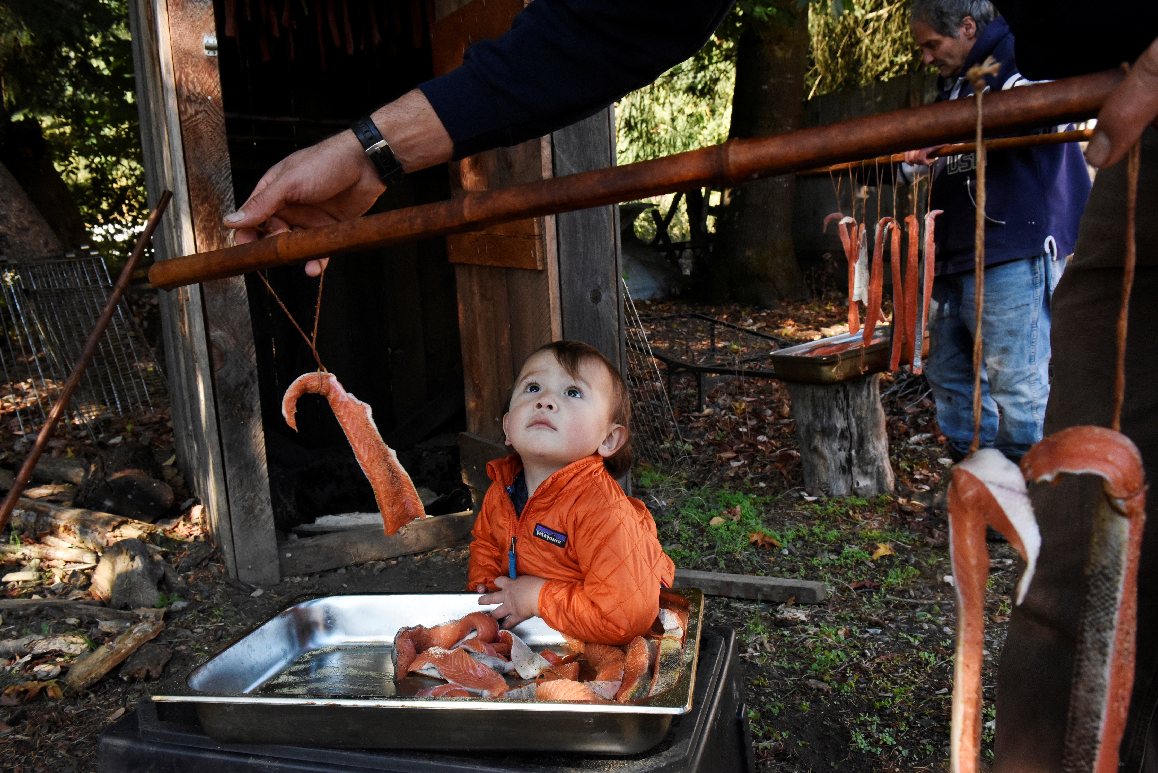 California, Hoopa Valley Tribe try to save salmon and a way of life