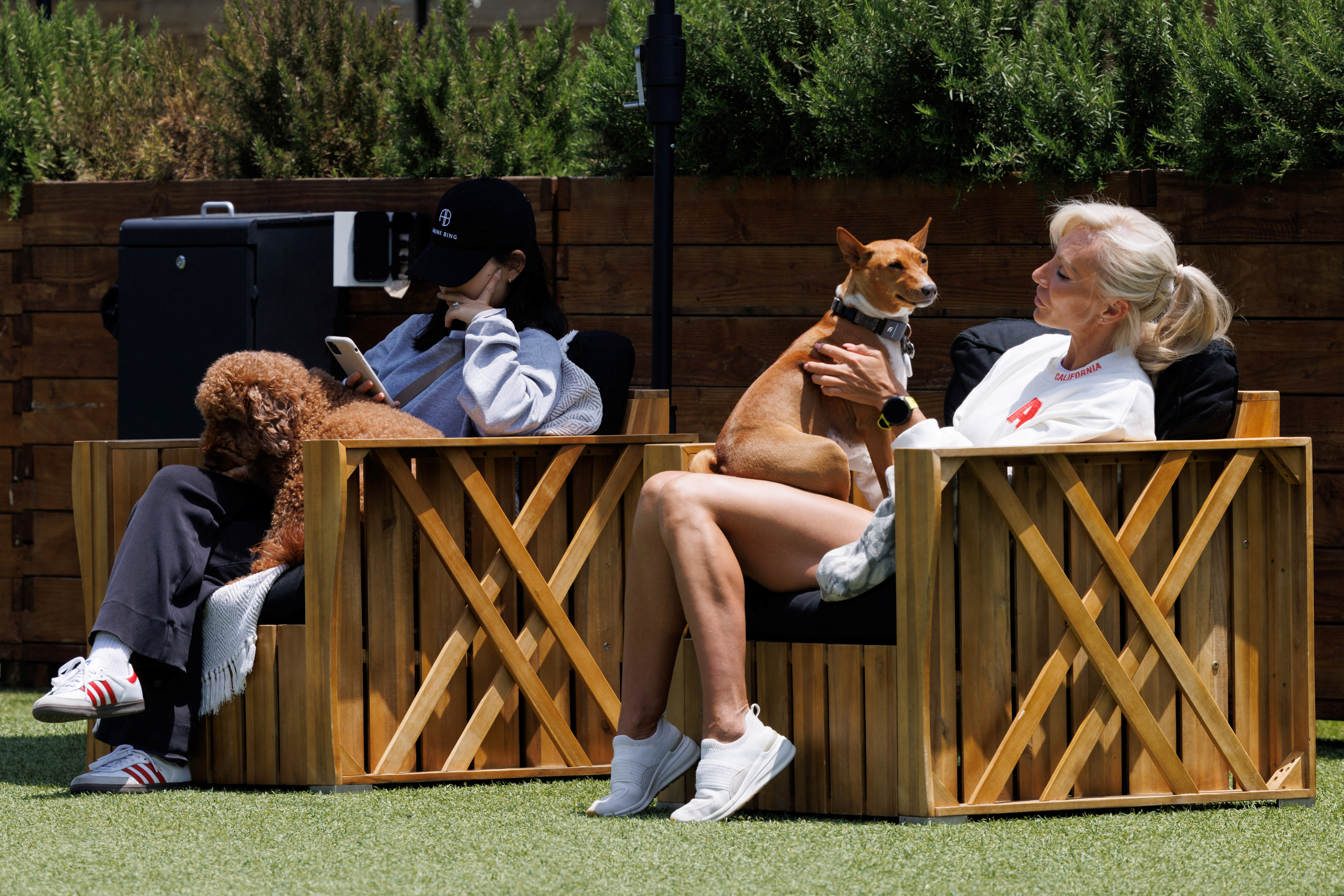 DOG PPL, a private members' club for dogs in the Californian beach enclave of Santa Monica