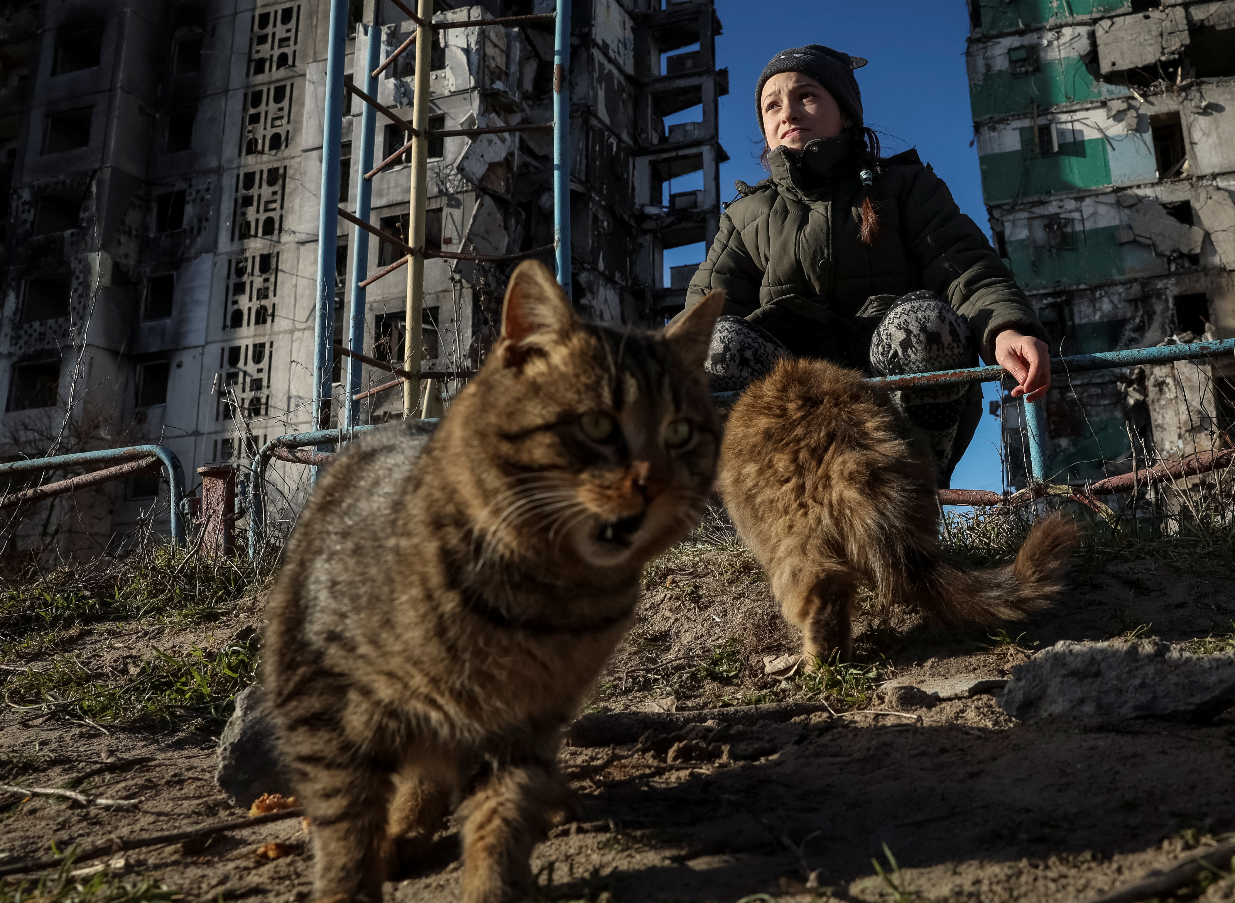 Veronika Krasevych, an 11-year-old Ukrainian girl feeds feral cats near her building destroyed by Russian military strike in the town of Borodianka heavily damaged during Russia's invasion of Ukraine, outside of Kyiv