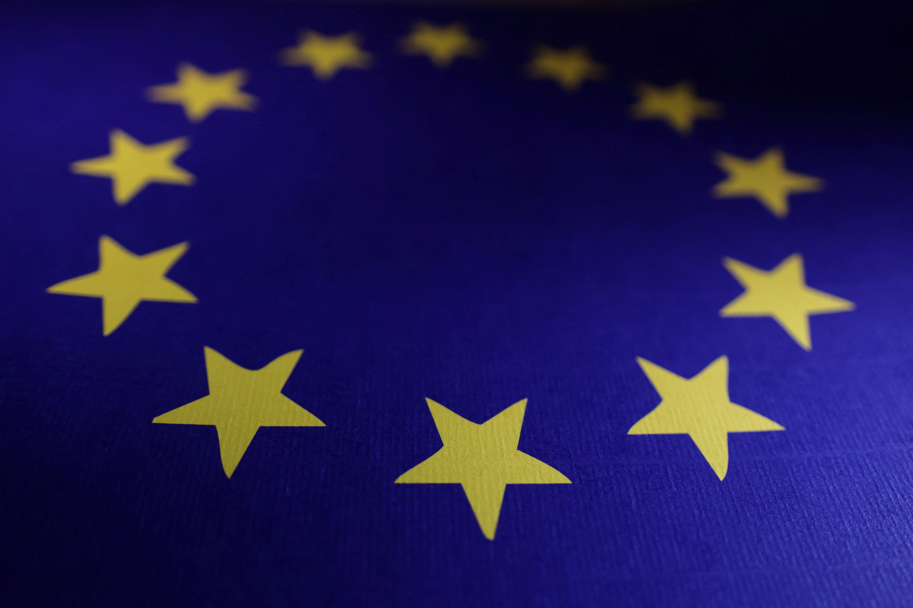 Illustration shows EU flag