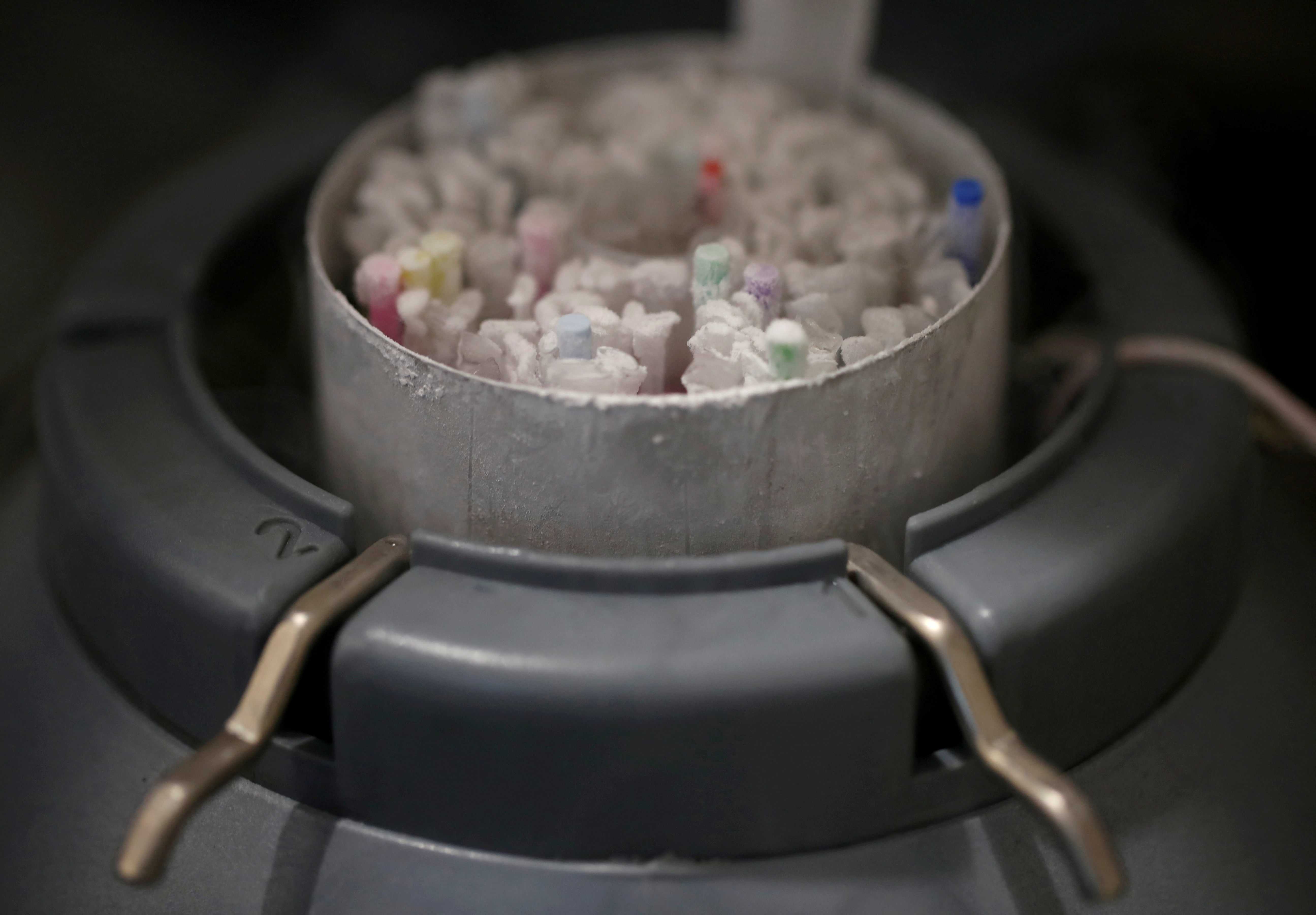 Fiole de spermă congelată sunt văzute păstrate într-un recipient frigorific cu azot într-un laborator din Paris