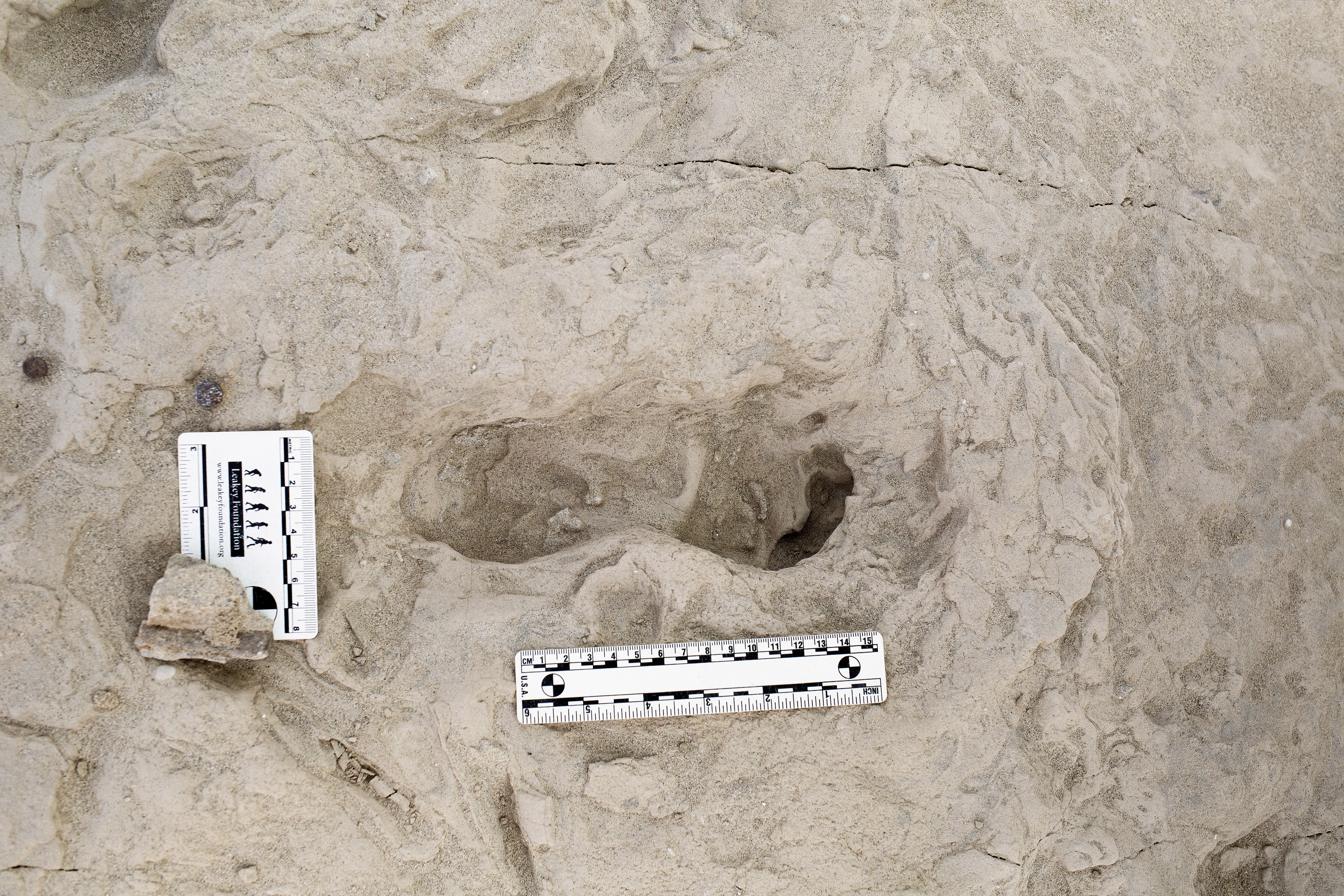 Fossil footprints in Kenya show two ancient human species 