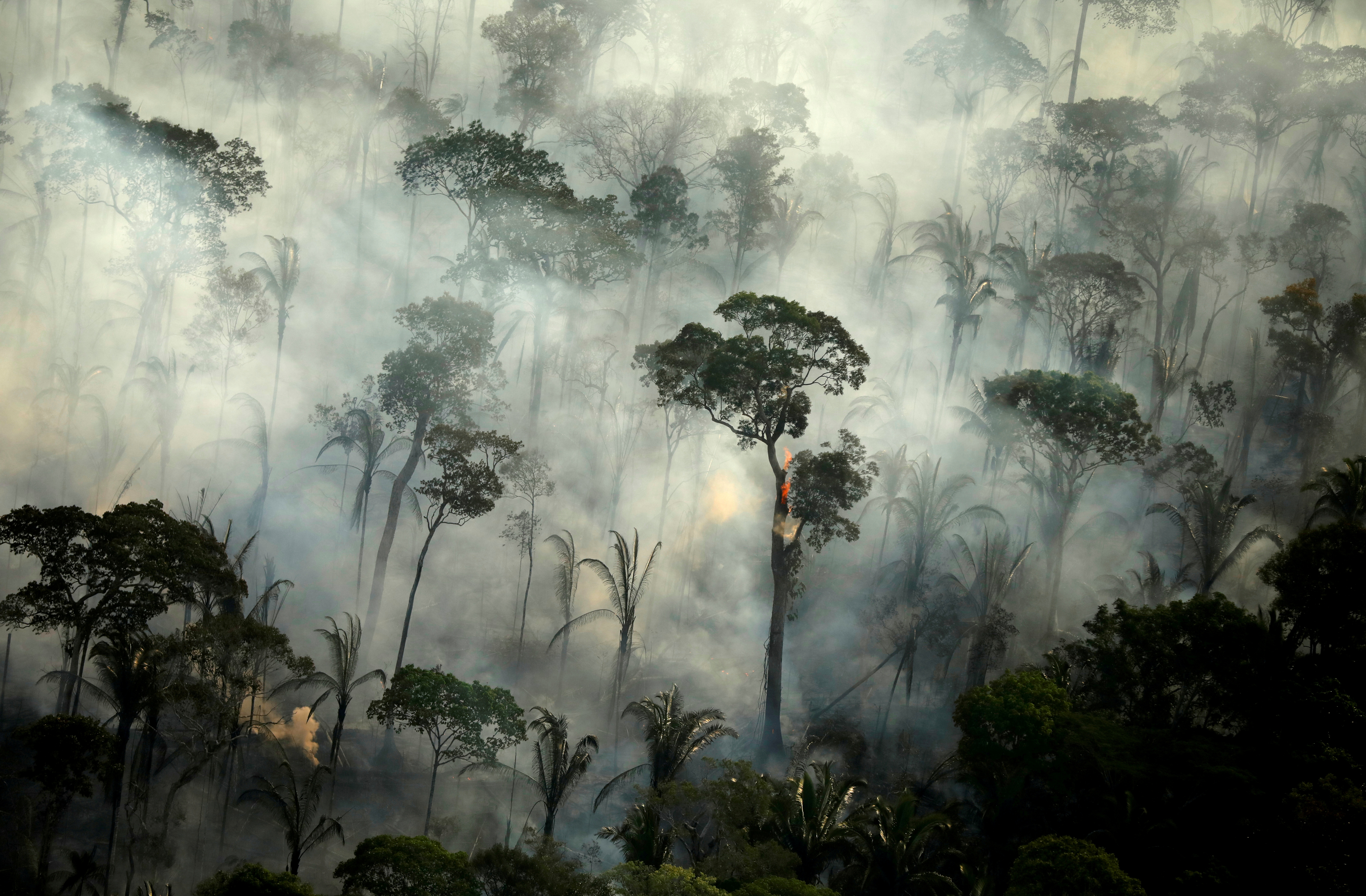 Fires in the Amazon: a barrier to climate change up in smoke