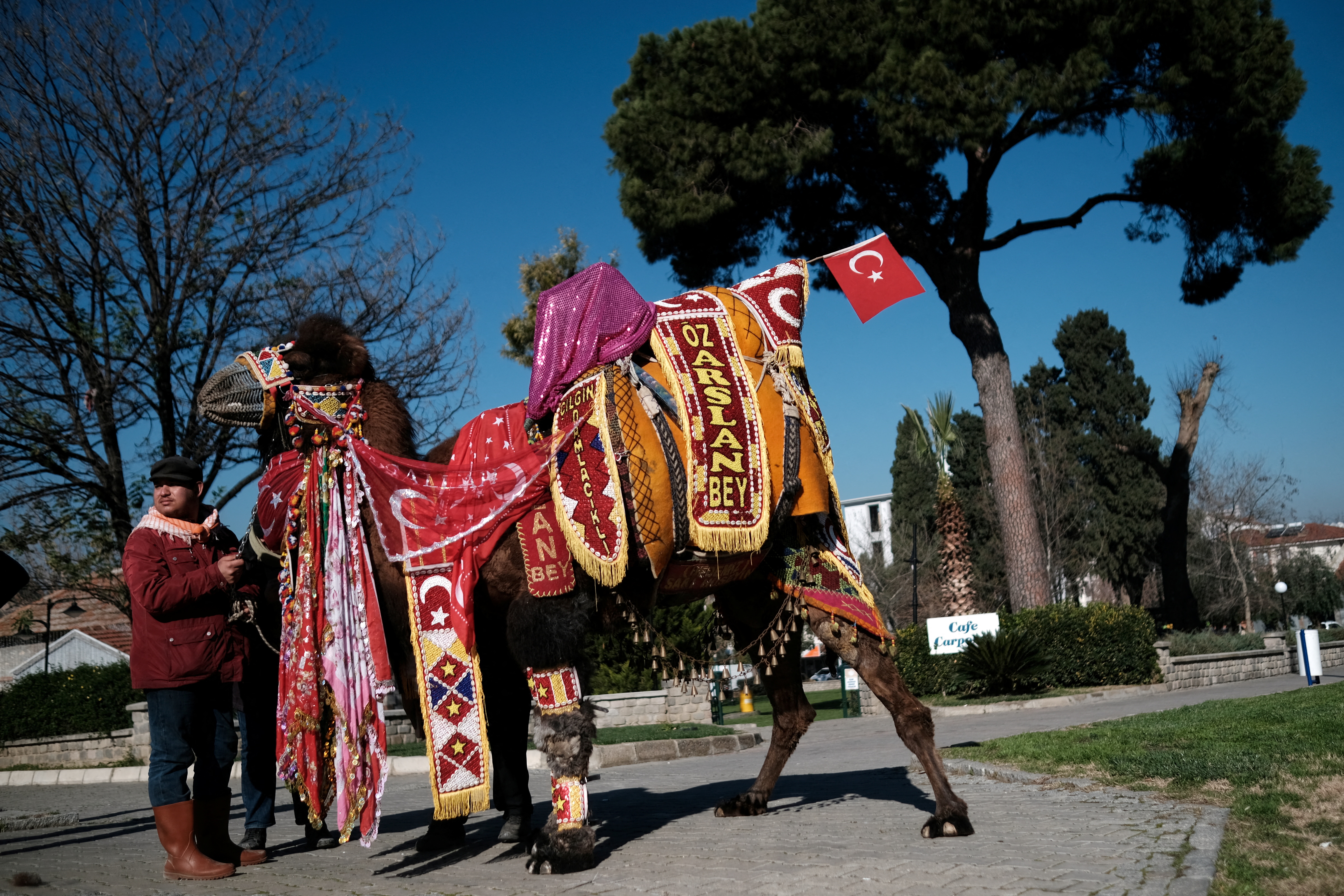 Wrestling camel Ozarslan Bey, adorned with colourful ornaments, is paraded during the Camel Beauty Contest ahead of the annual 40th Efes Selcuk Camel Wrestling Festival, in the Aegean town of Selcuk, near Izmir, Turkey January 15, 2022. Picture taken January 15, 2022. REUTERS/Murad Sezer