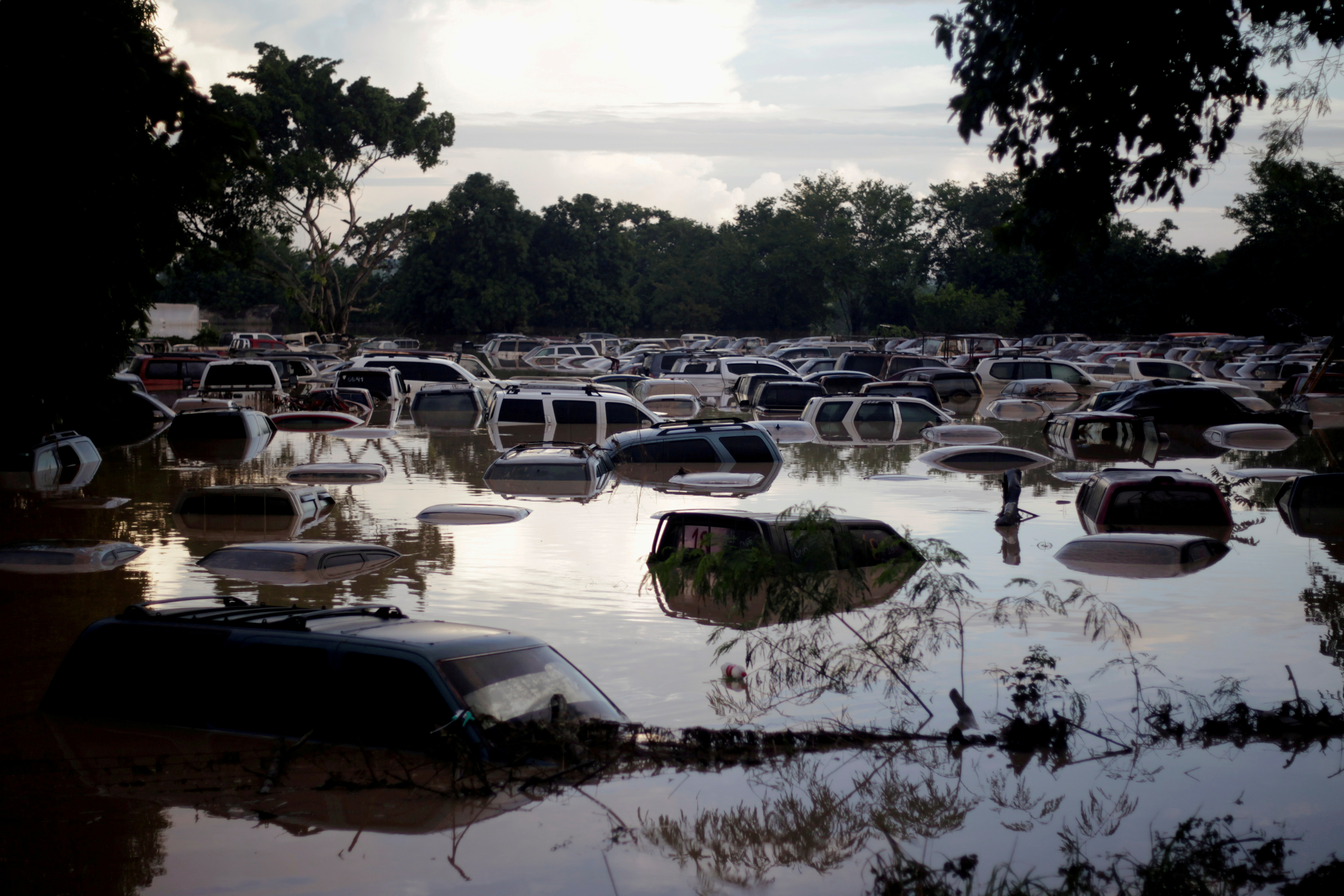 Vehicles are submerged at a plot flooded by the Chamelecon River due to heavy rain caused by Storm Iota, in La Lima