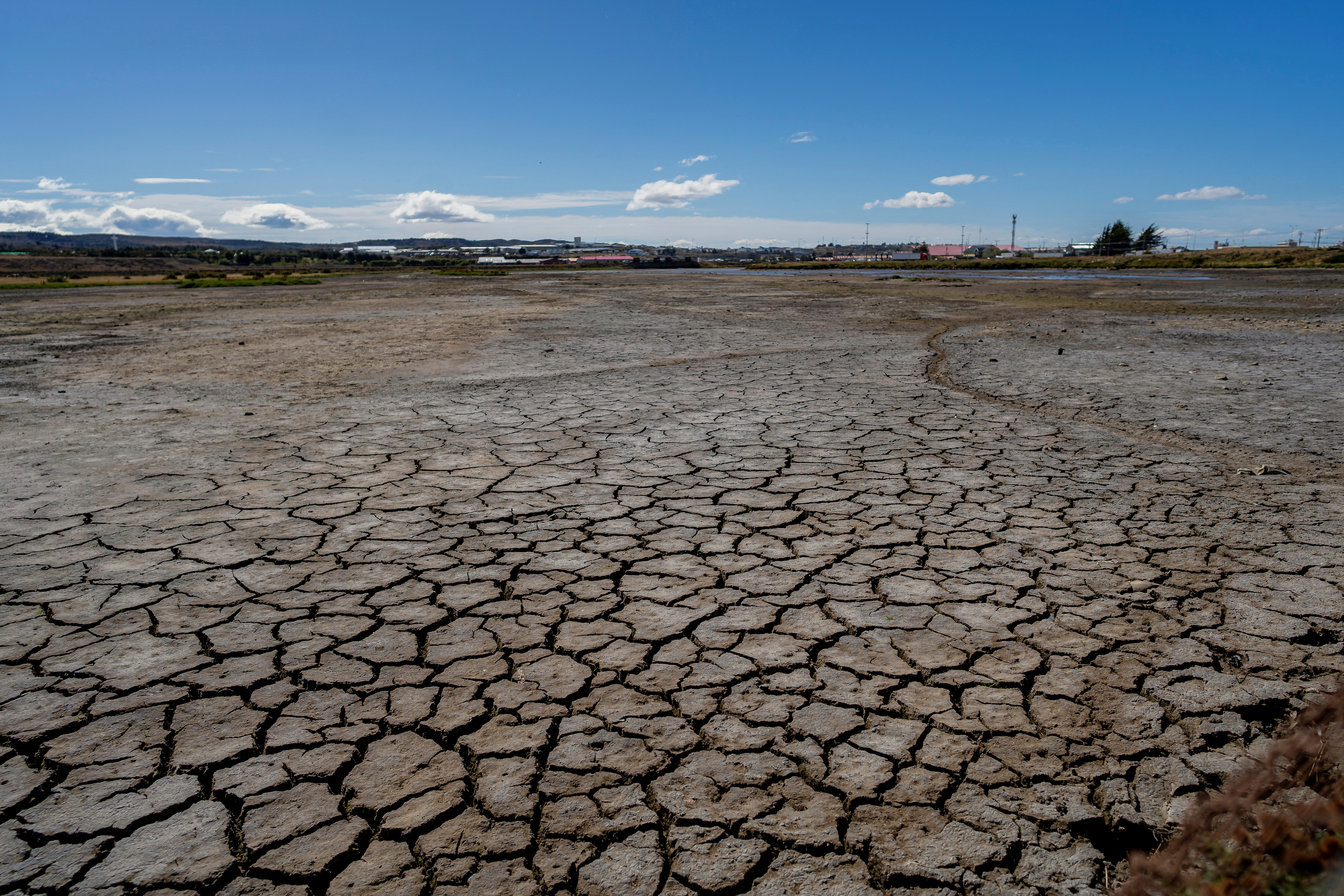 A view of parched earth as a wetland is drying up, in Punta Arenas