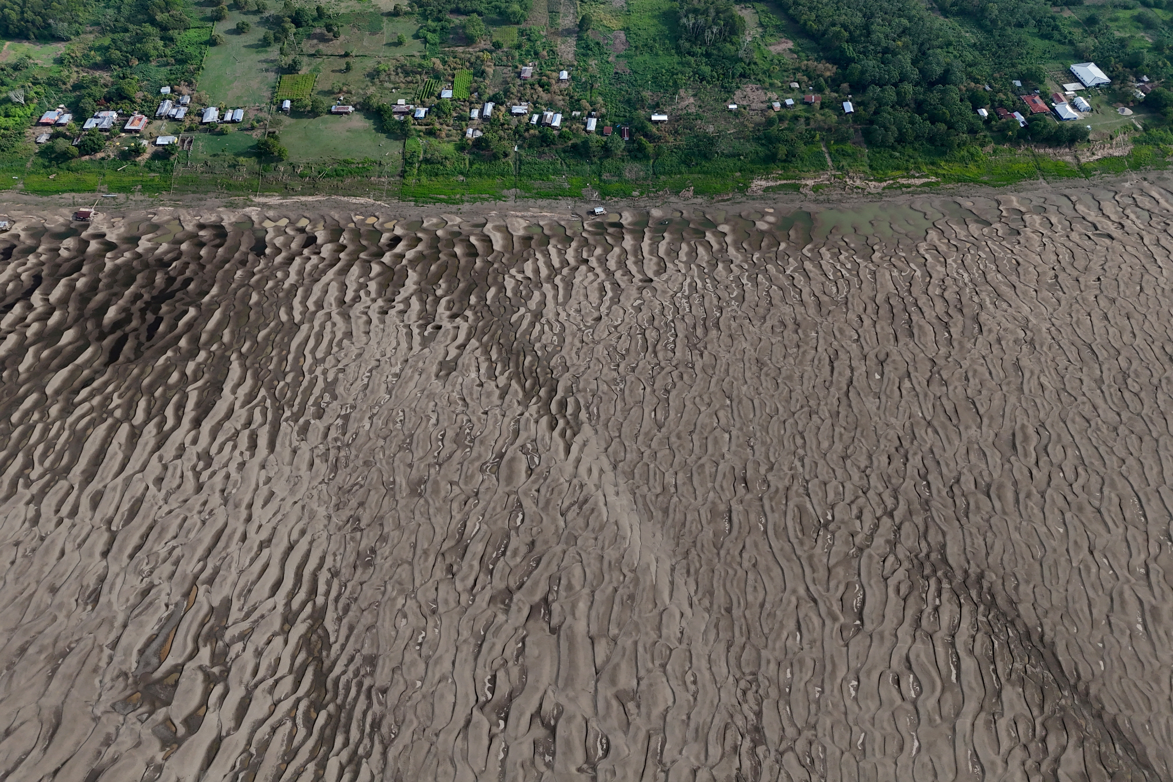 Brazil's most intense and widespread drought in the Amazon