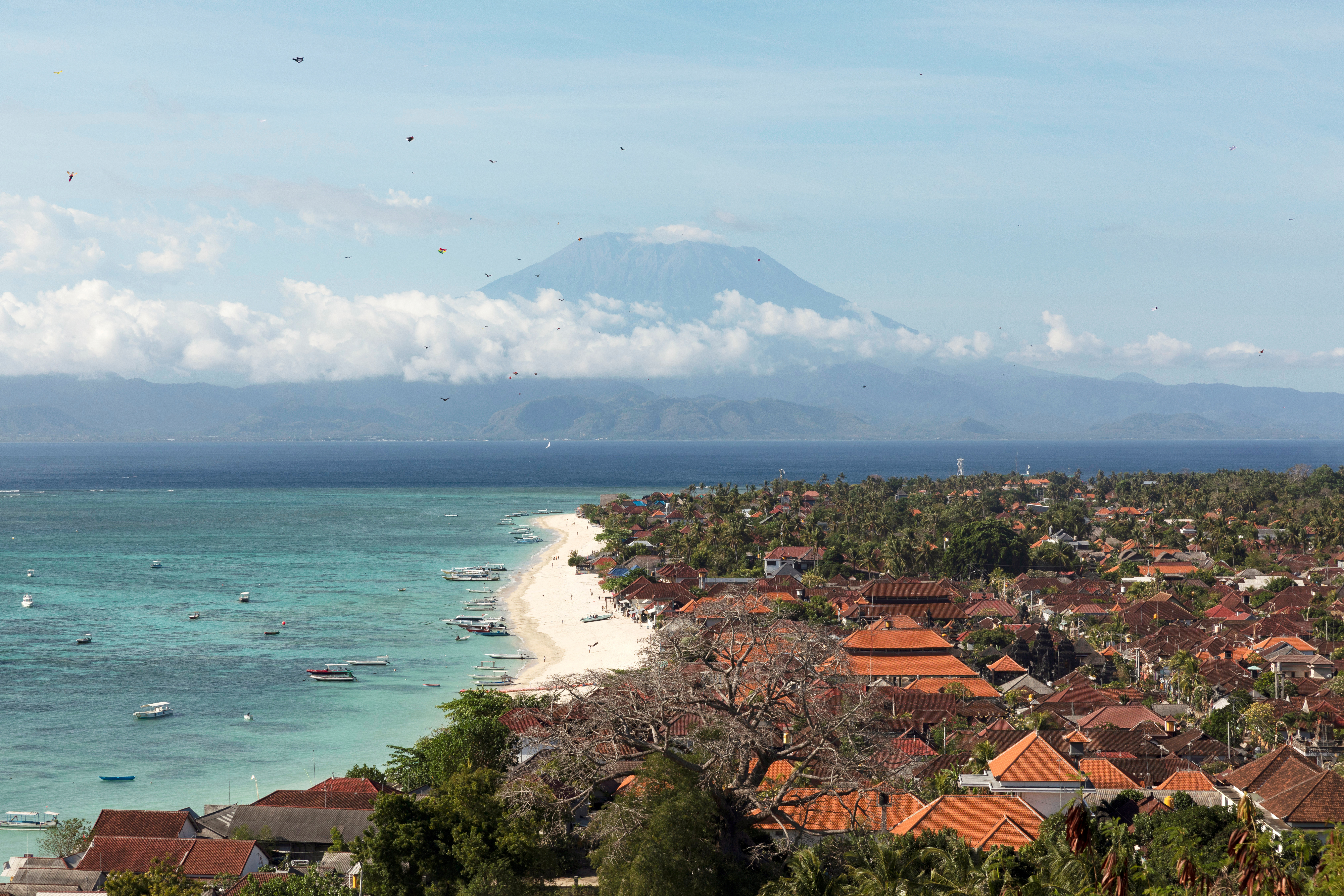 Bali Tour Guide Hopes For Coronavirus Defeat Amid Bleak Lunar New Year Reuters