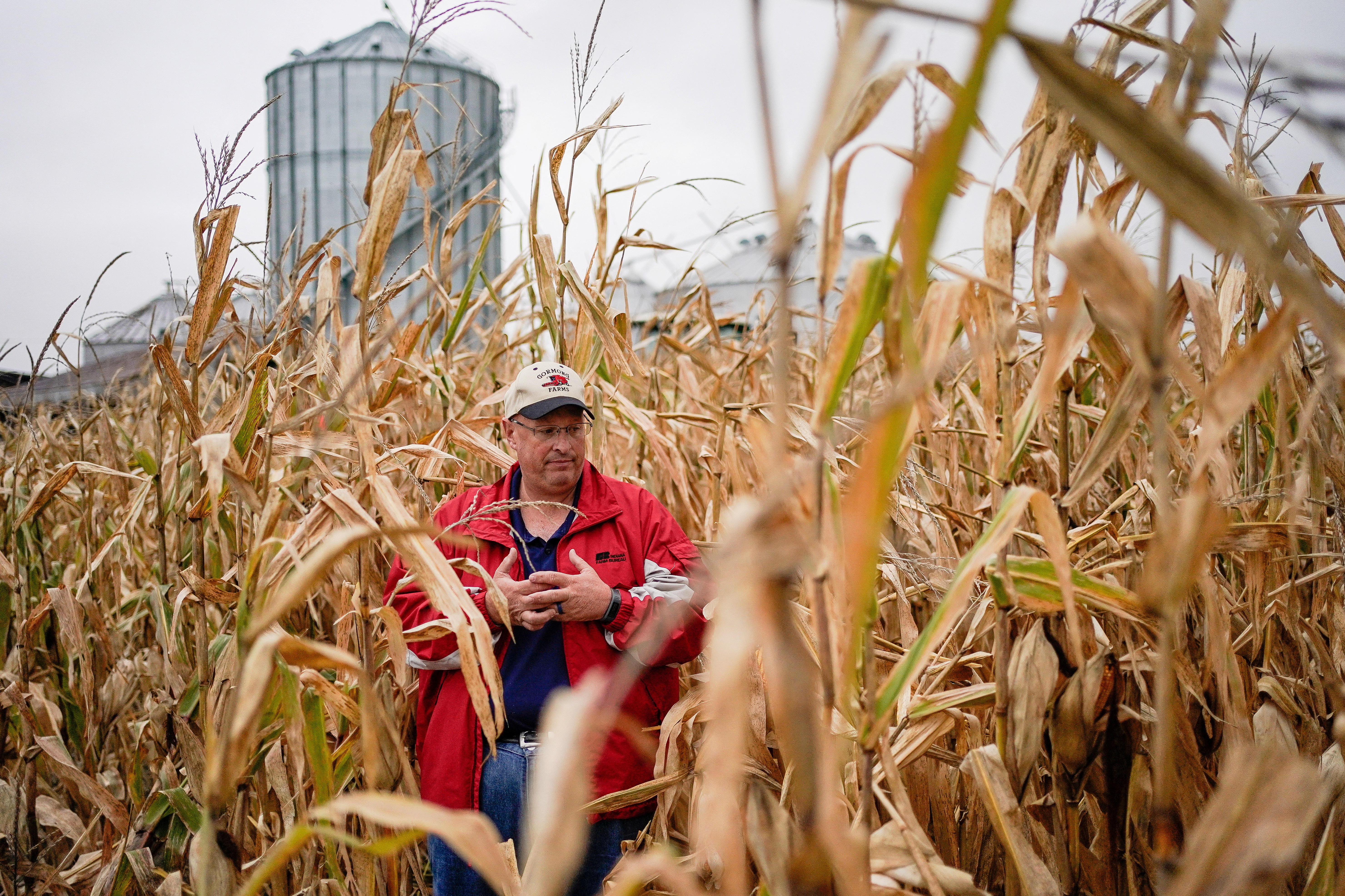 Jeff Gormong stands in a corn field on his farm near Terre Haute