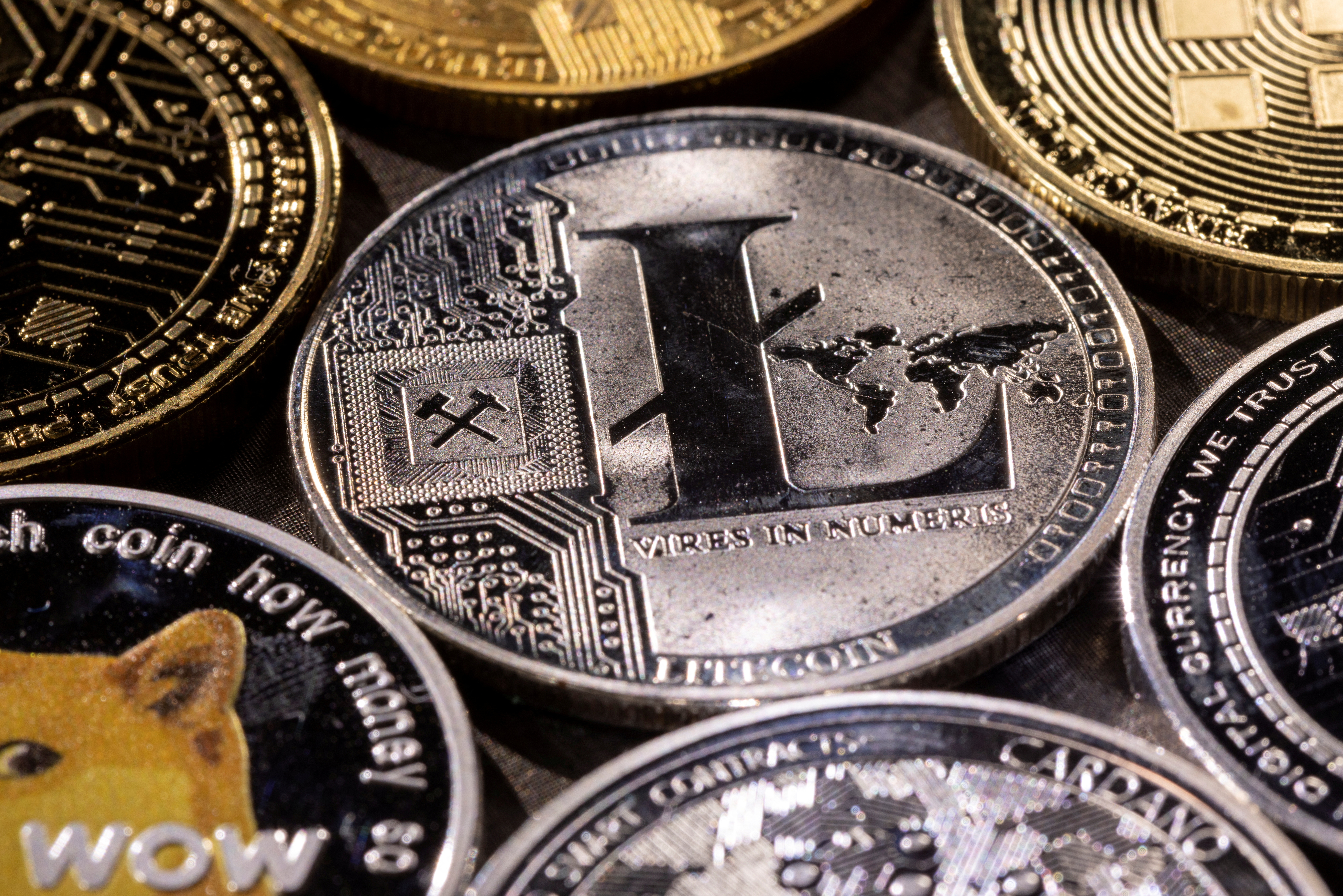 Canary Capital, Bitwise to launch first US altcoin ETFs despite shutdown |  Reuters