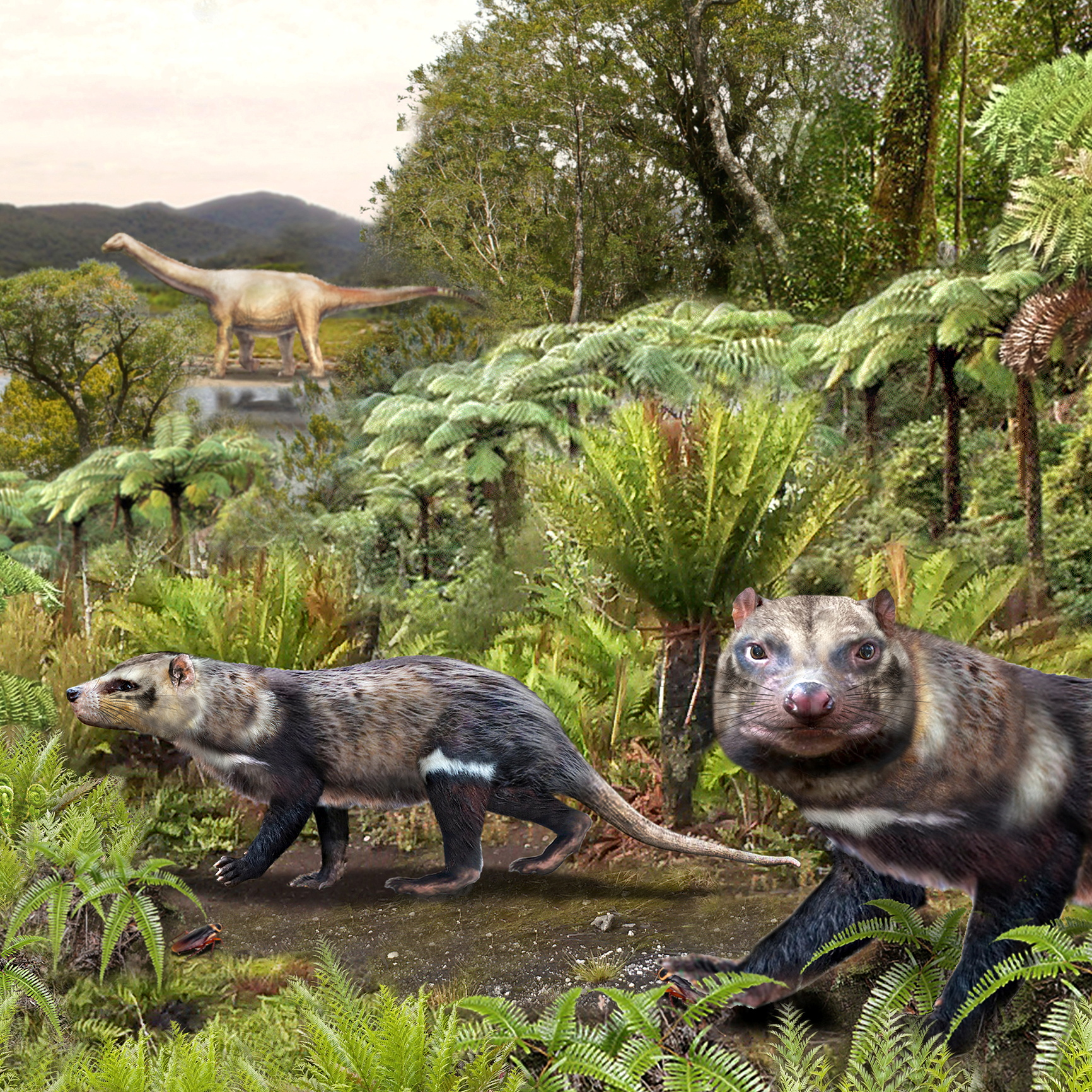 Beast Of Five Teeth Chilean Scientists Unearth Skunk That Walked Among Dinosaurs Reuters