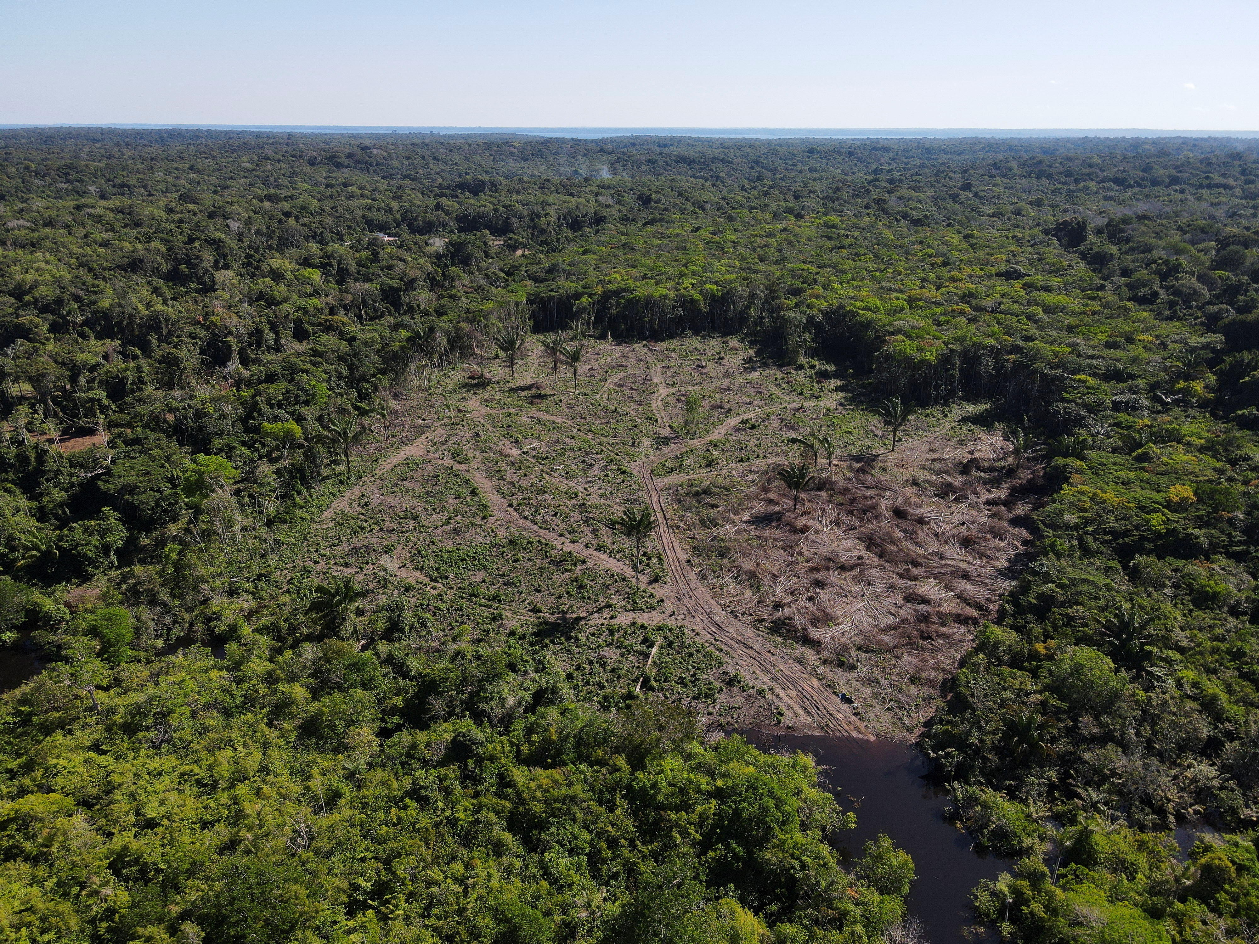 Deforestation in Brazil’s Amazon Hits Record for First Six Months of the Year