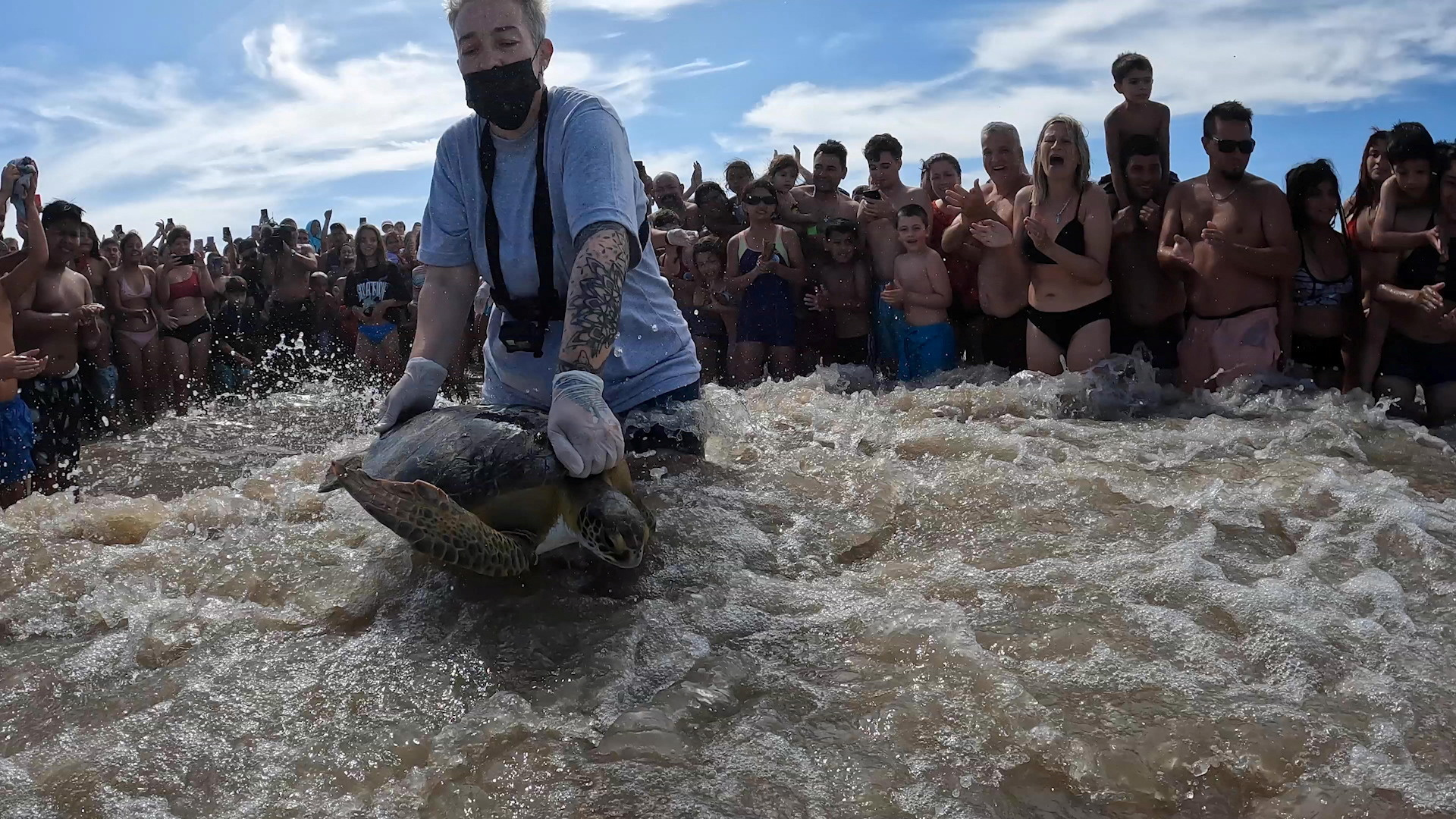 Rescued sea turtles return to ocean in Argentina