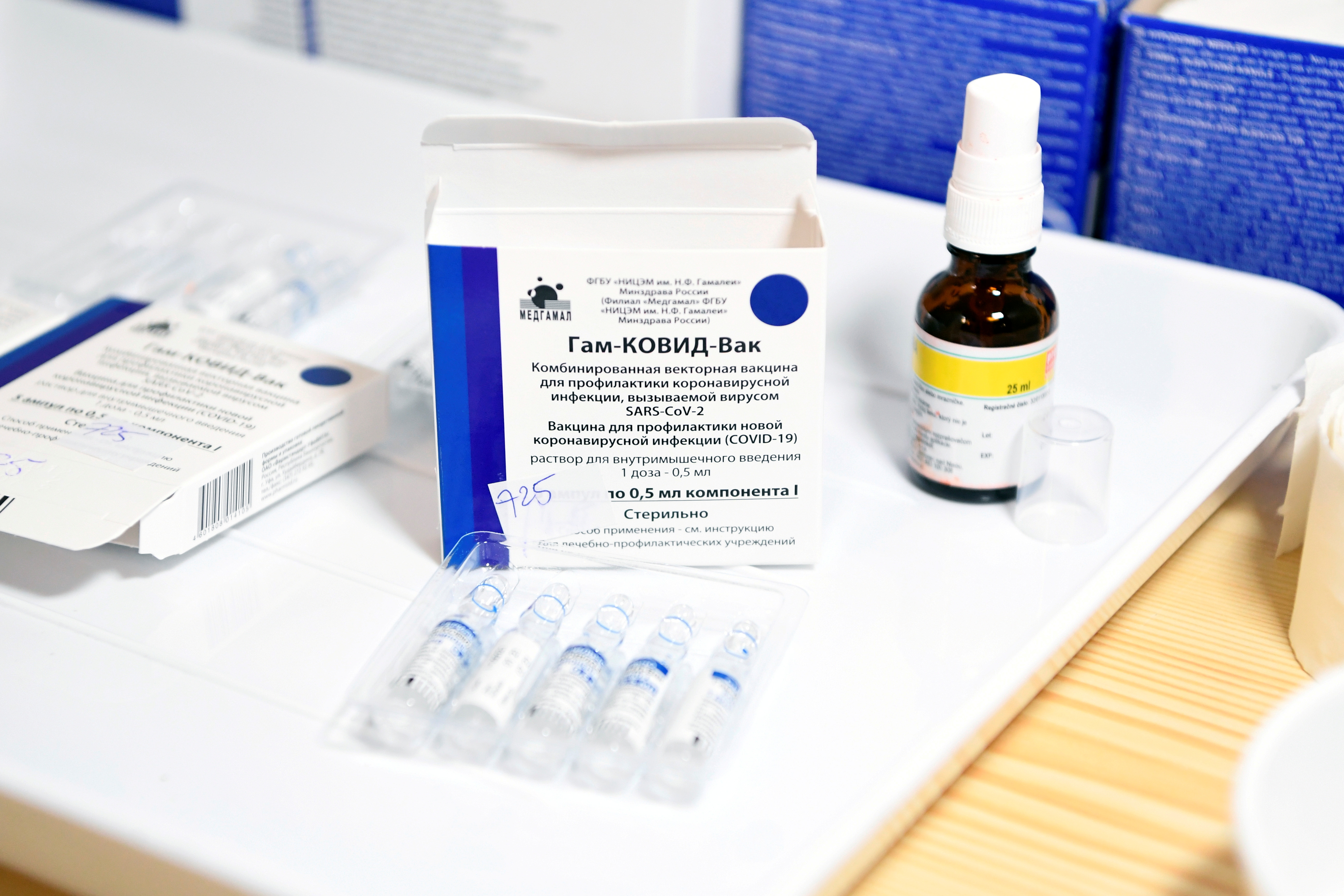 Doses of the Sputnik V vaccine against the coronavirus disease (COVID-19) are seen at a vaccination centre