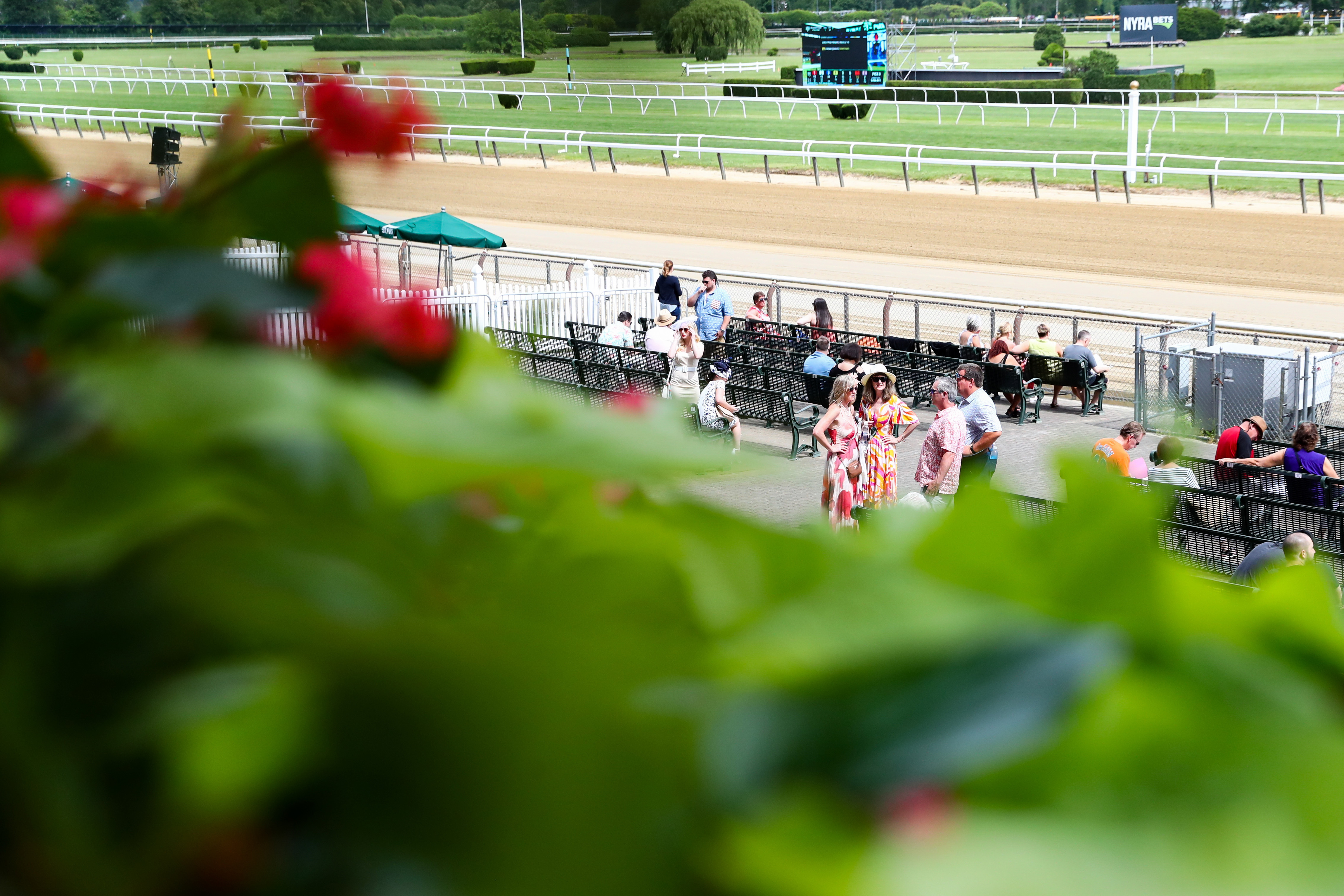 Horse Racing: Belmont Stakes