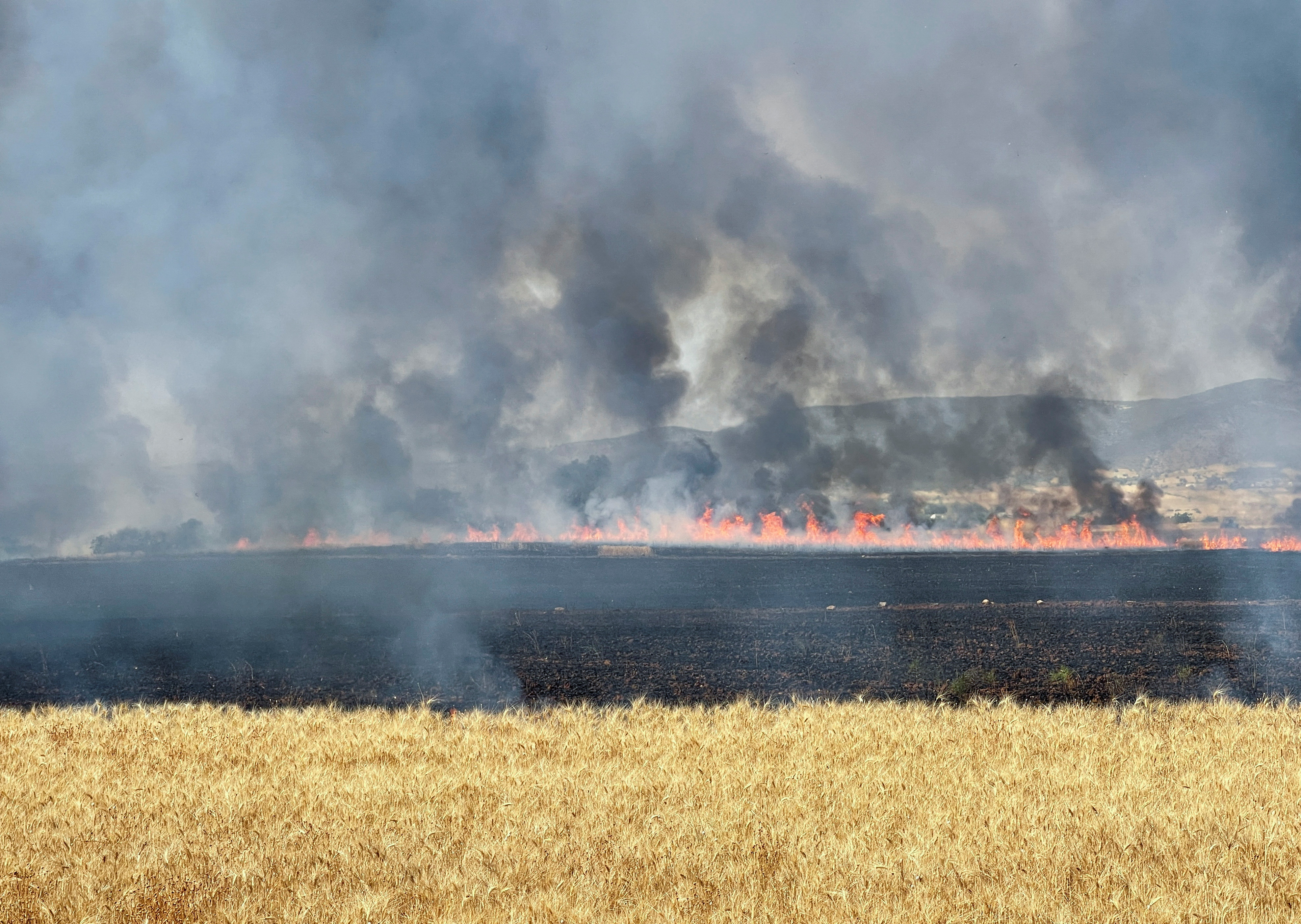 Fire burns on wheat field in Jendouba