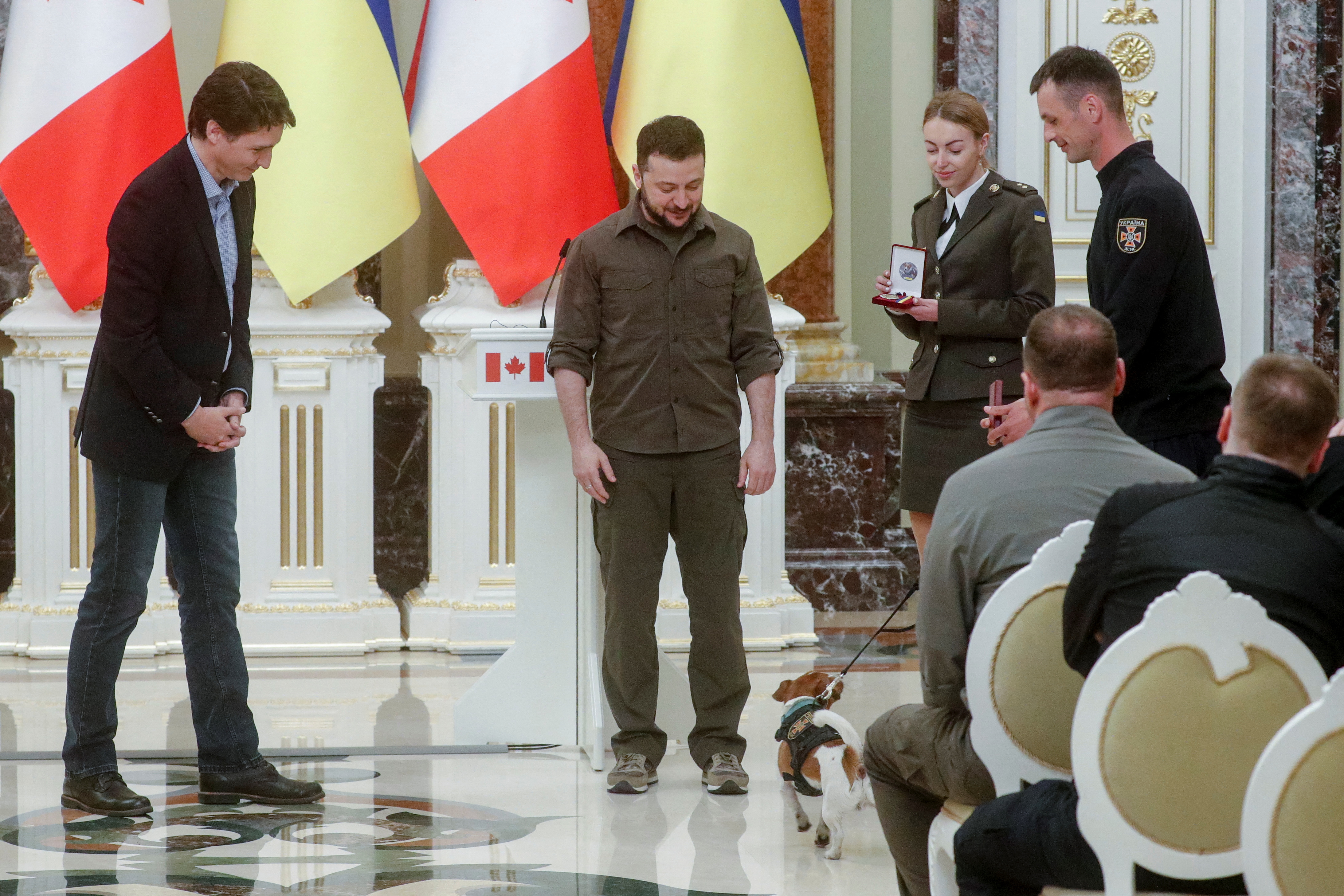 Ukraine's mine sniffing dog Patron awarded medal by Zelenskiy | Reuters