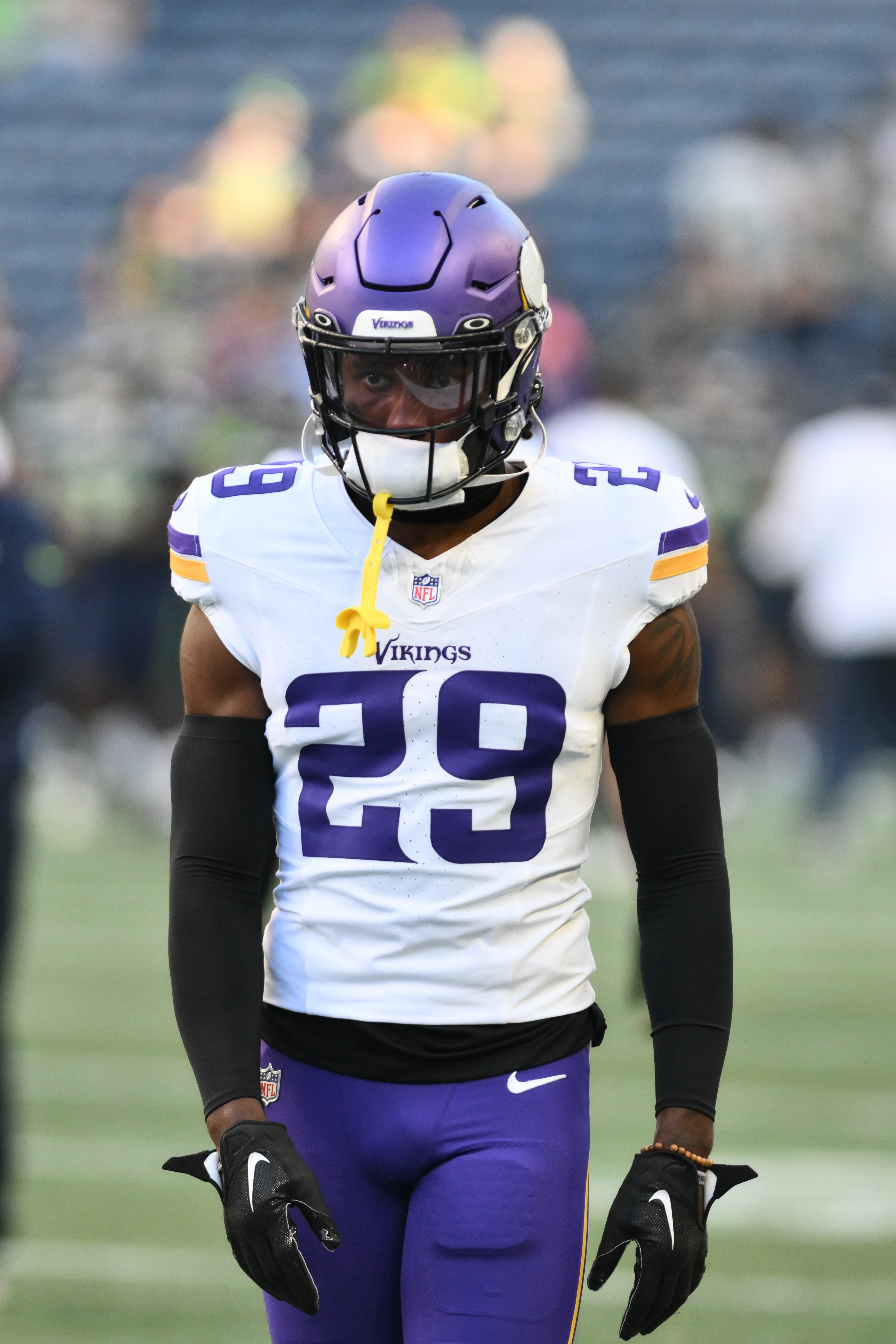 Minnesota Vikings Nike Conquered The North 2022 Nfc North Division