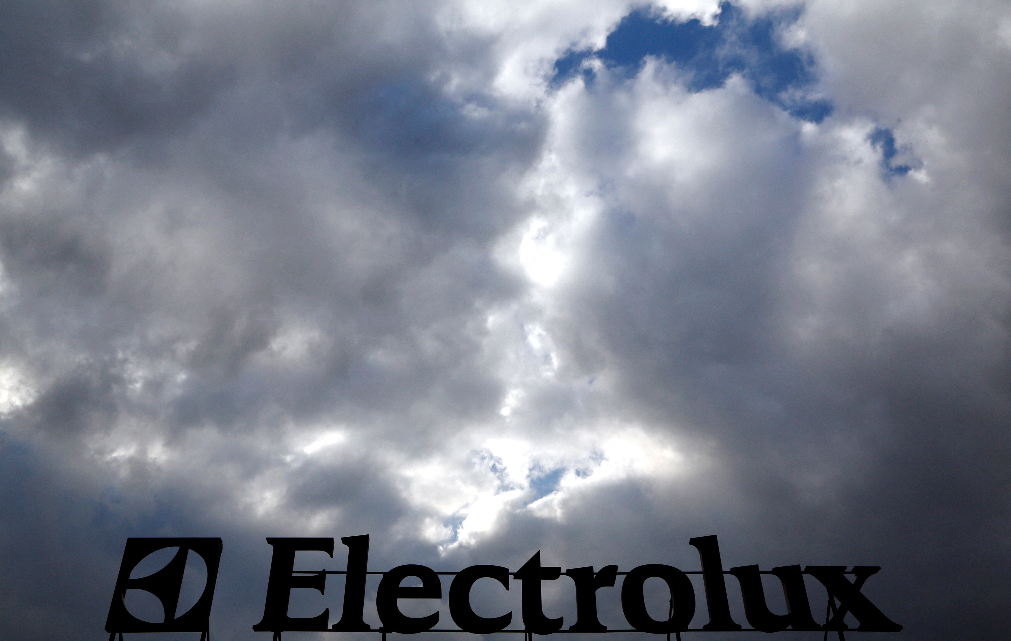 FILE PHOTO: An Electrolux logo is seen at a factory in Porcia, northern Italy