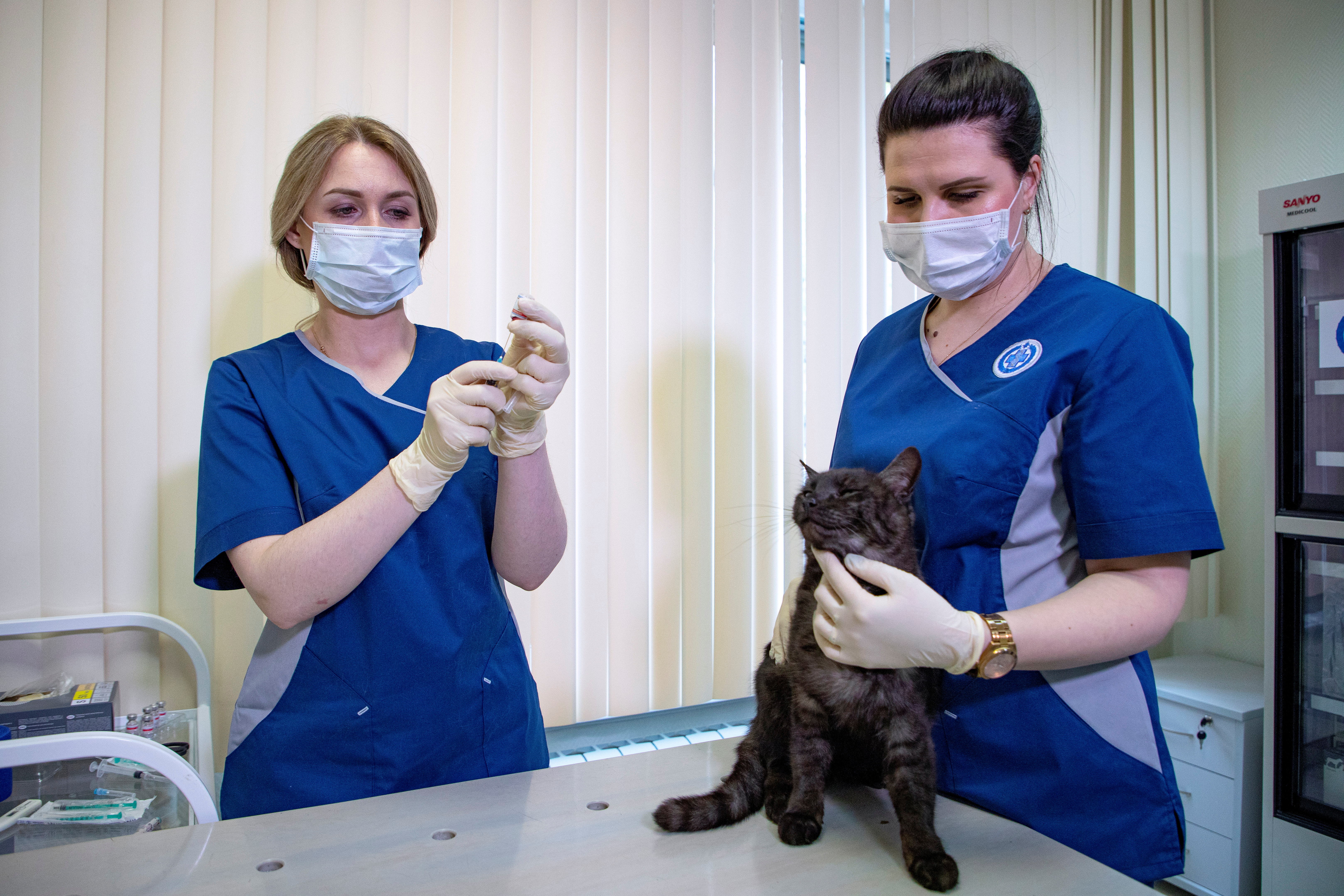 A cat receives a dose of the Carnivac-Cov vaccine for animals against the coronavirus disease (COVID-19) at a clinic in Moscow