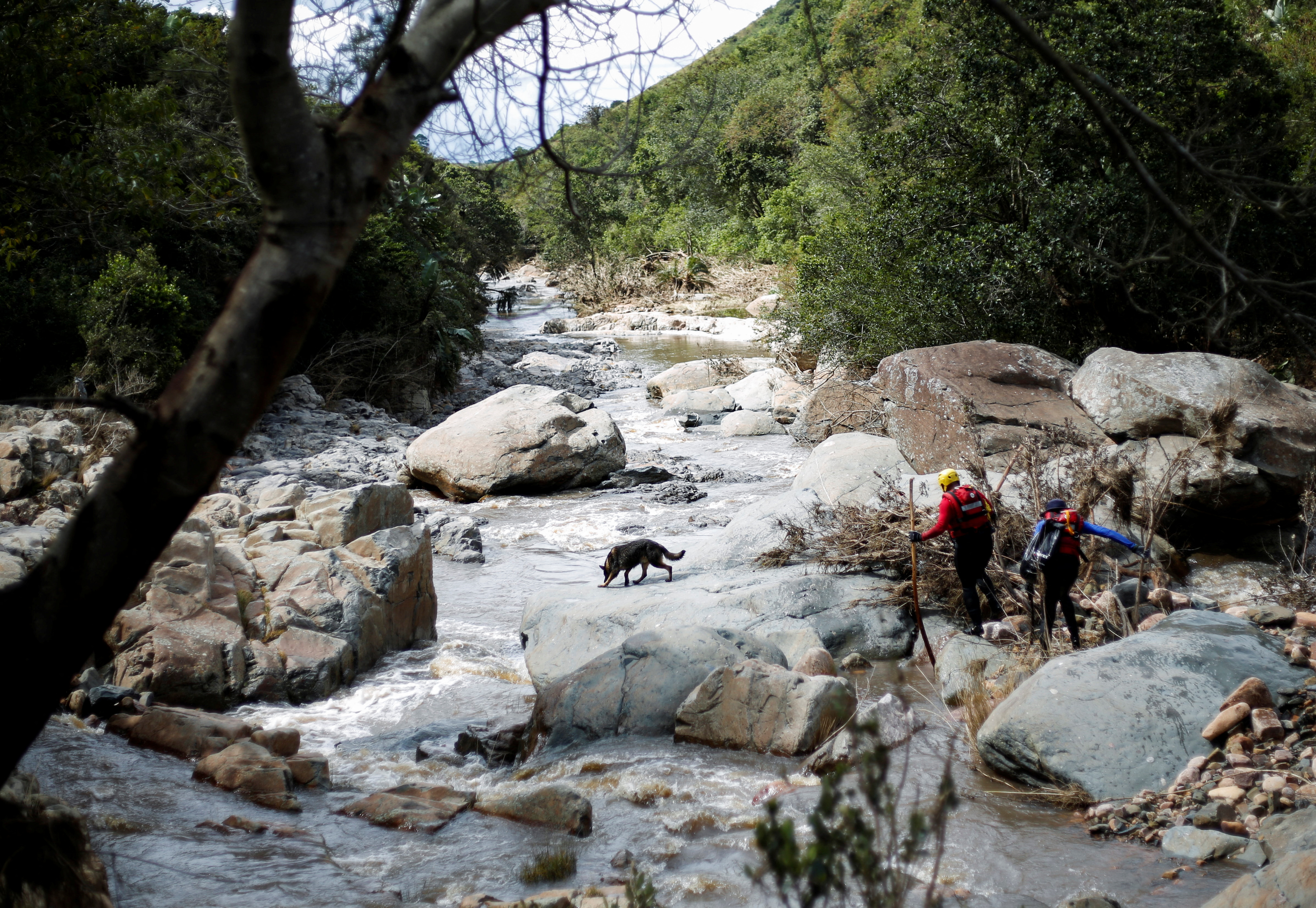 A search and rescue team uses a dog to search for bodies in Umbumbulu