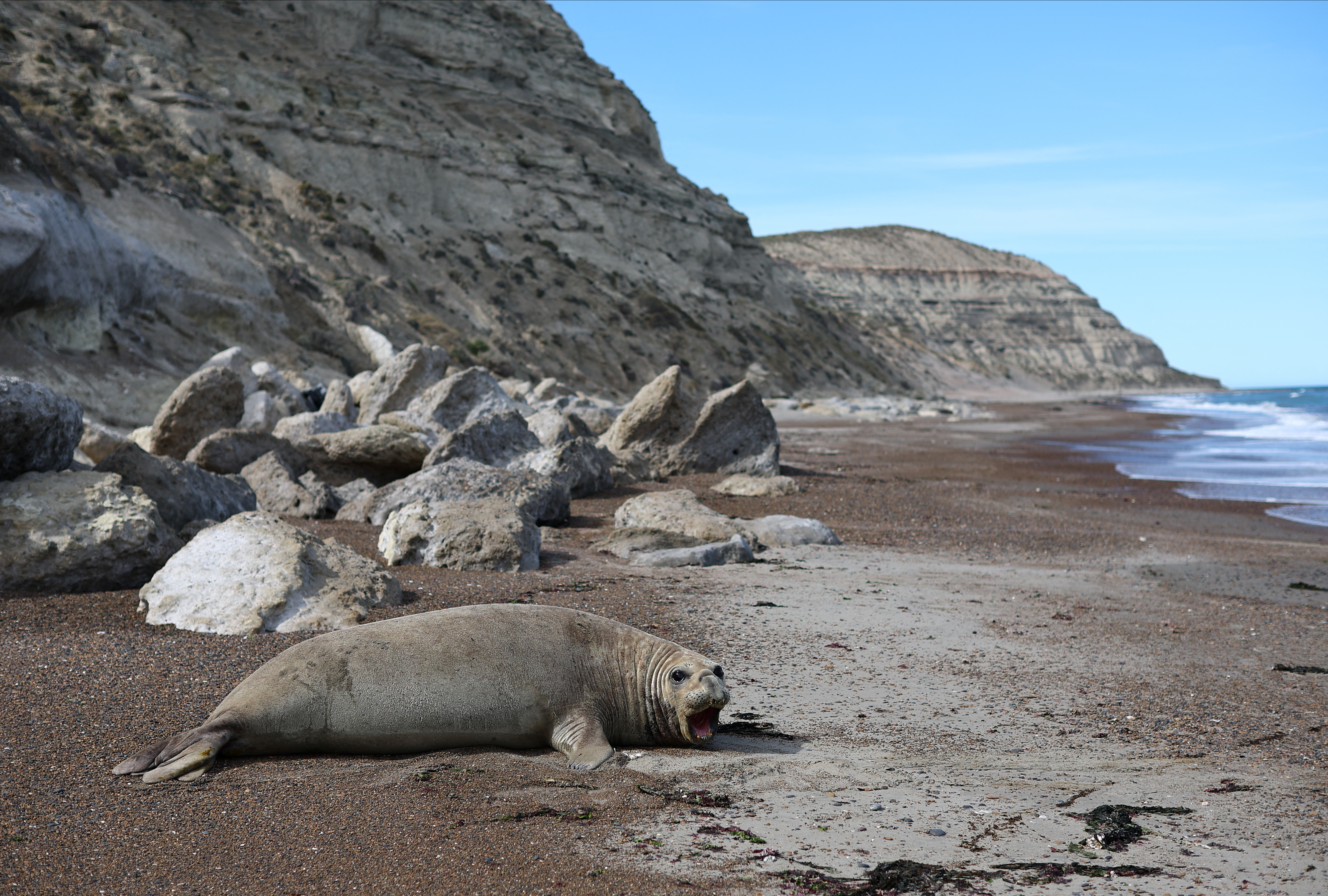 Chubut Argentine - Marine Research: The coastal areas are significant for marine research, especially in ecology and conservation.